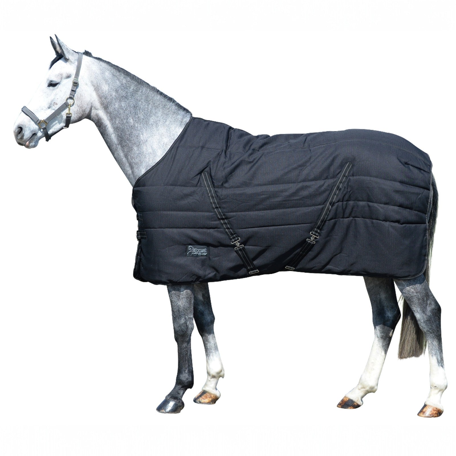 EQUEST Stalldecke Ottawa