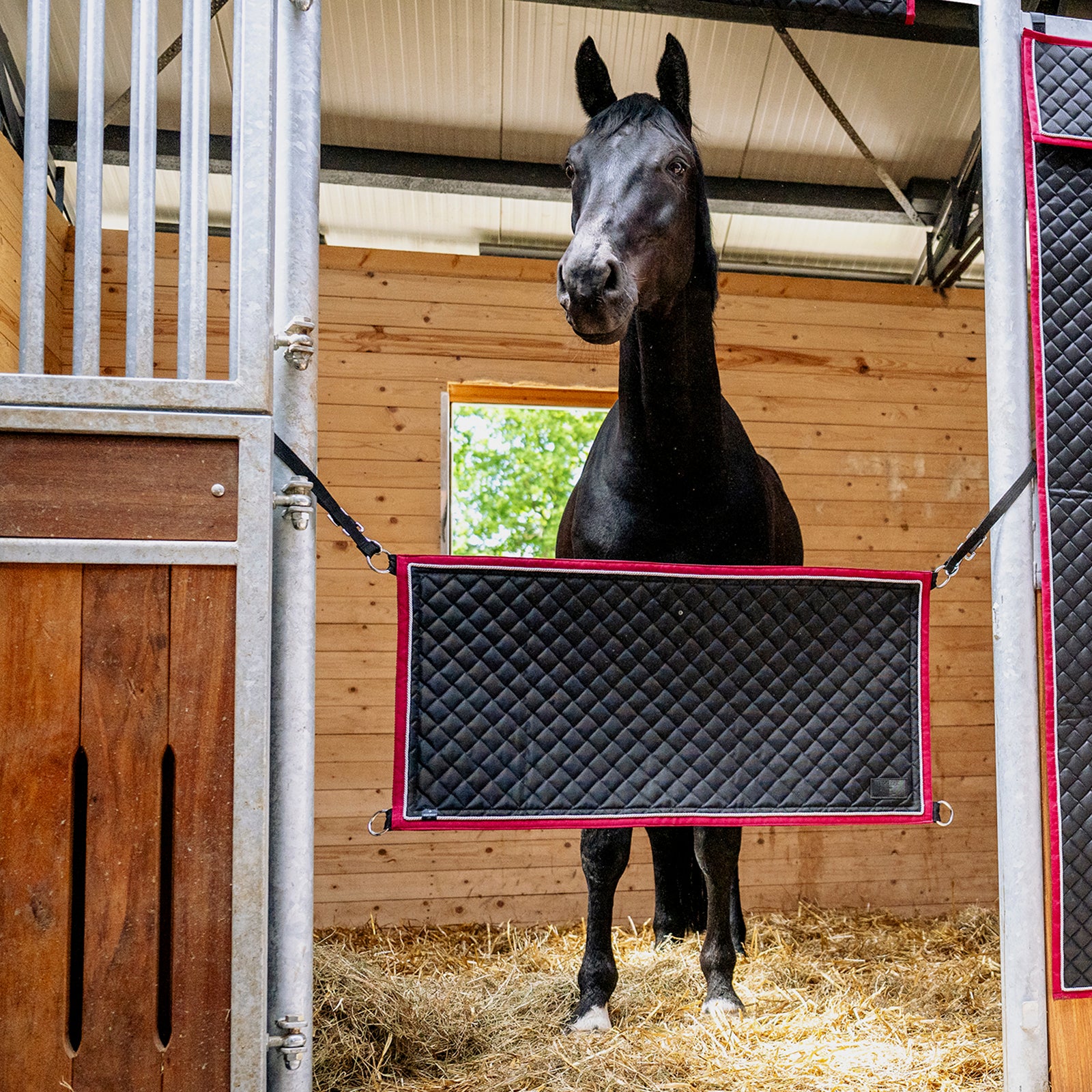 EQUEST Stallguard Premium | Einheitsgröße