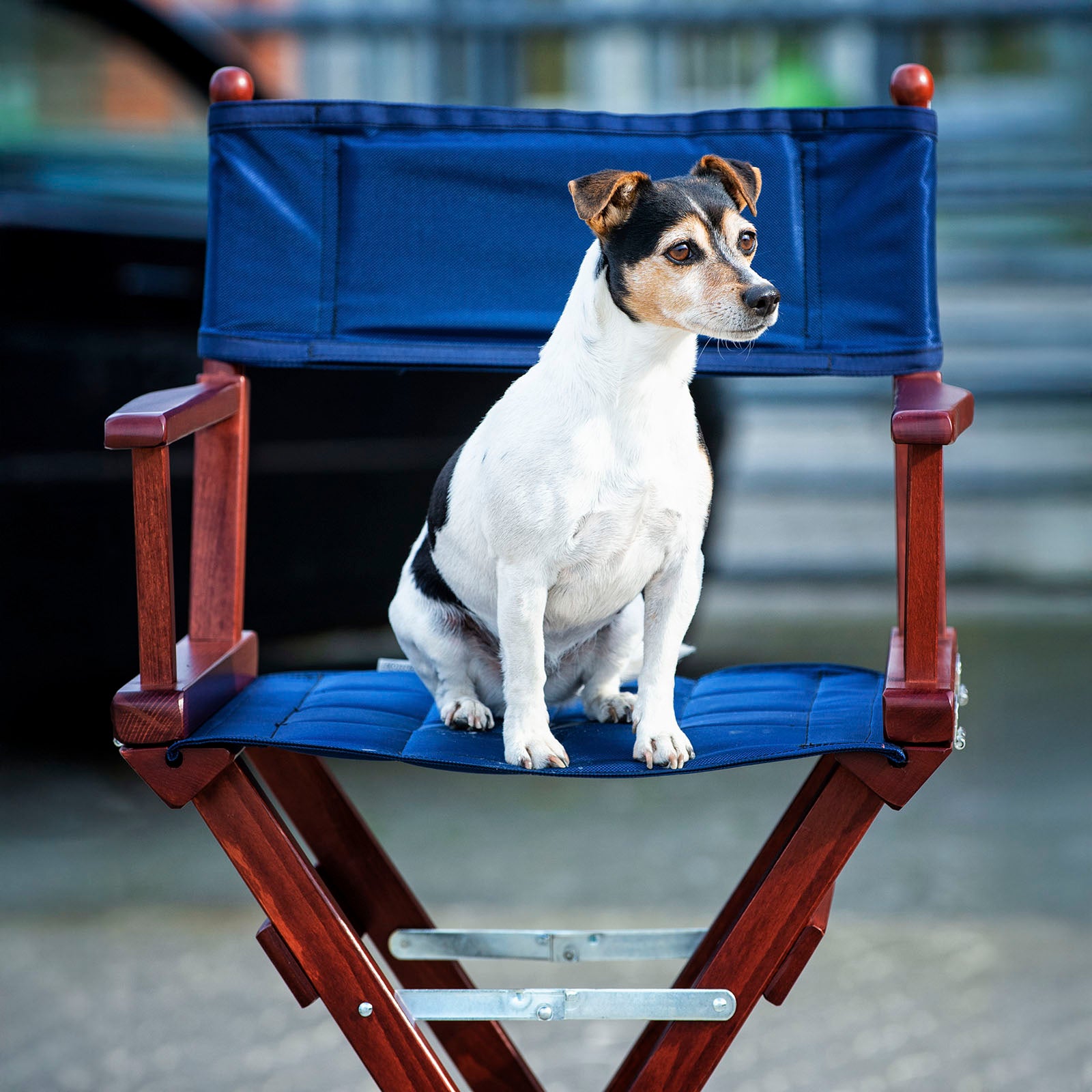 EQUEST Bezug für Coach Chair