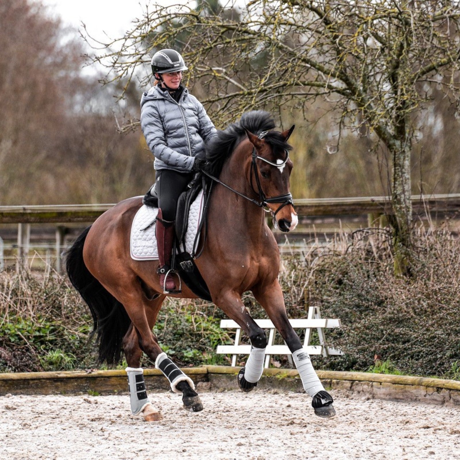 EQUEST Bandage Alpha Fleece | 4er Set