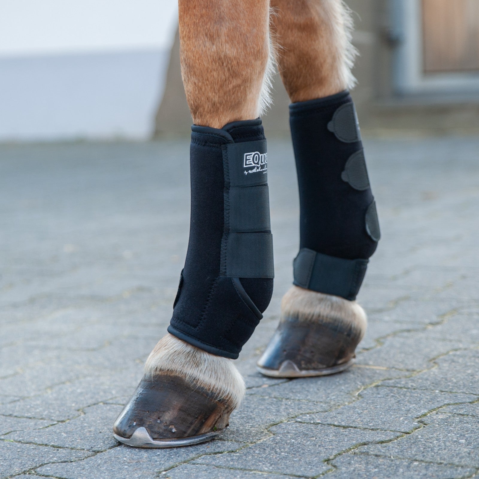 EQUEST Fesselkopfgamasche | 2er Set