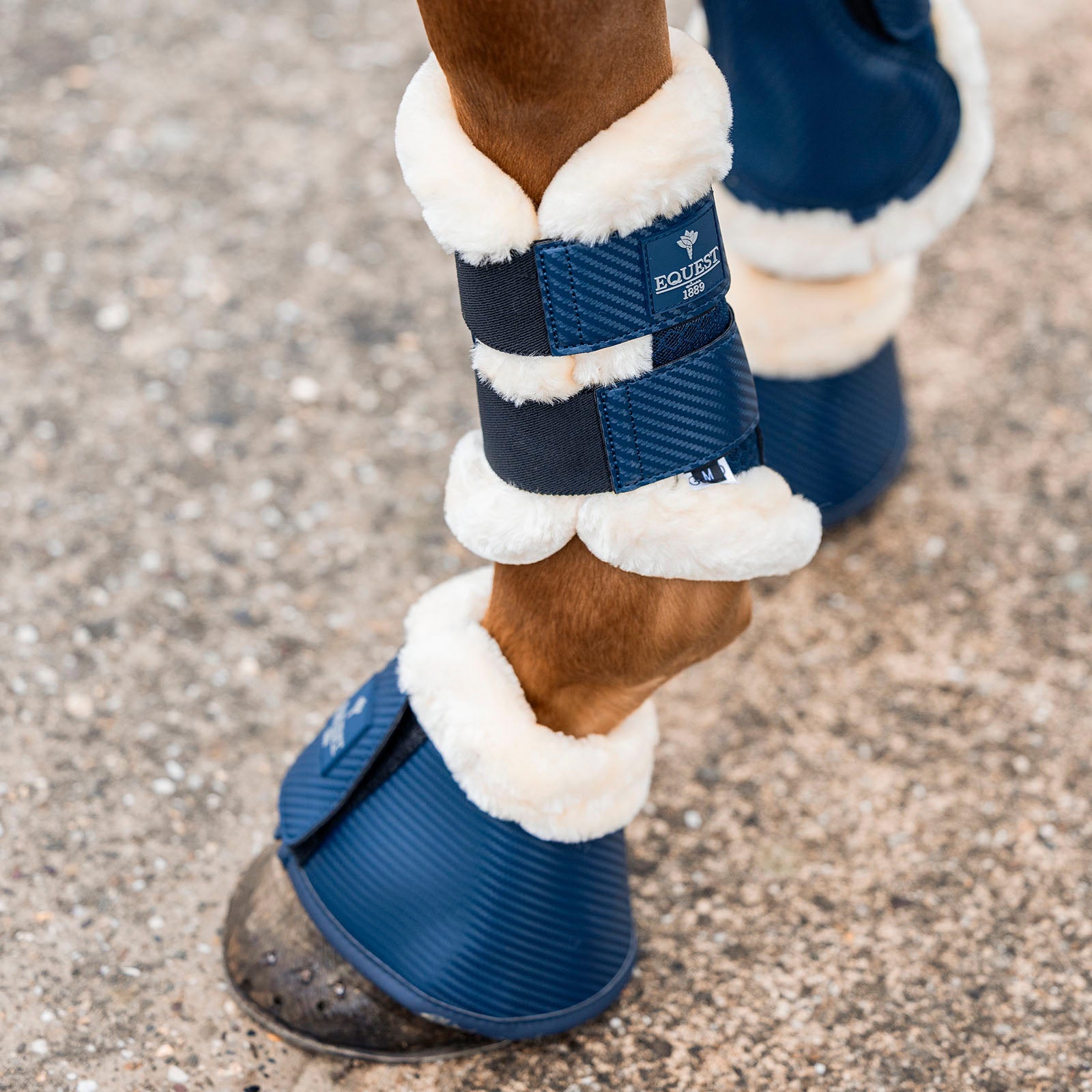 EQUEST Hufglocke Air Flow Mesh Carbon | 2er Set