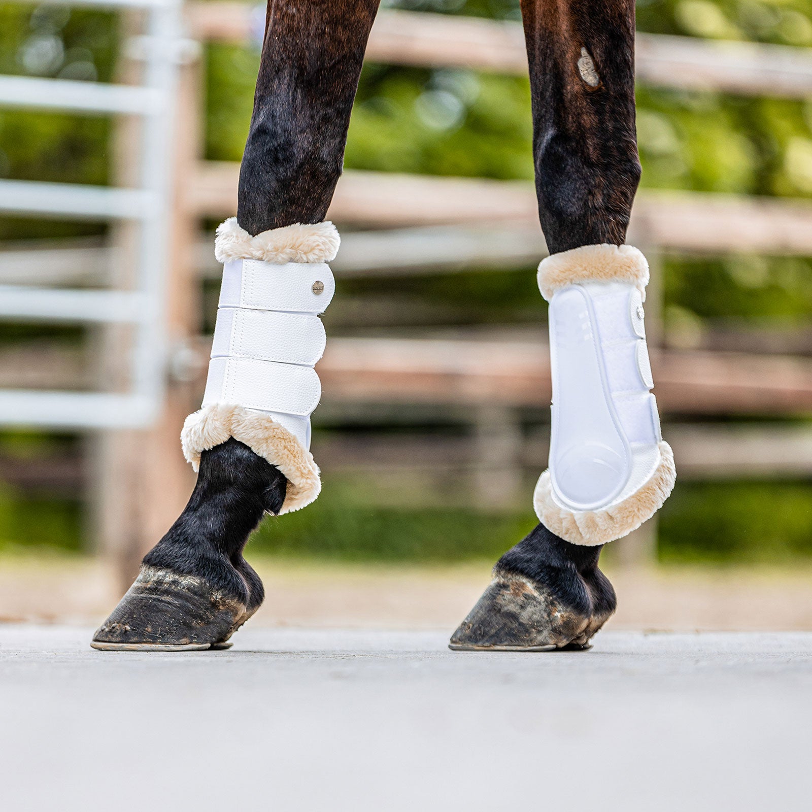 Guêtres de sécurité EQUEST | Lot de 2