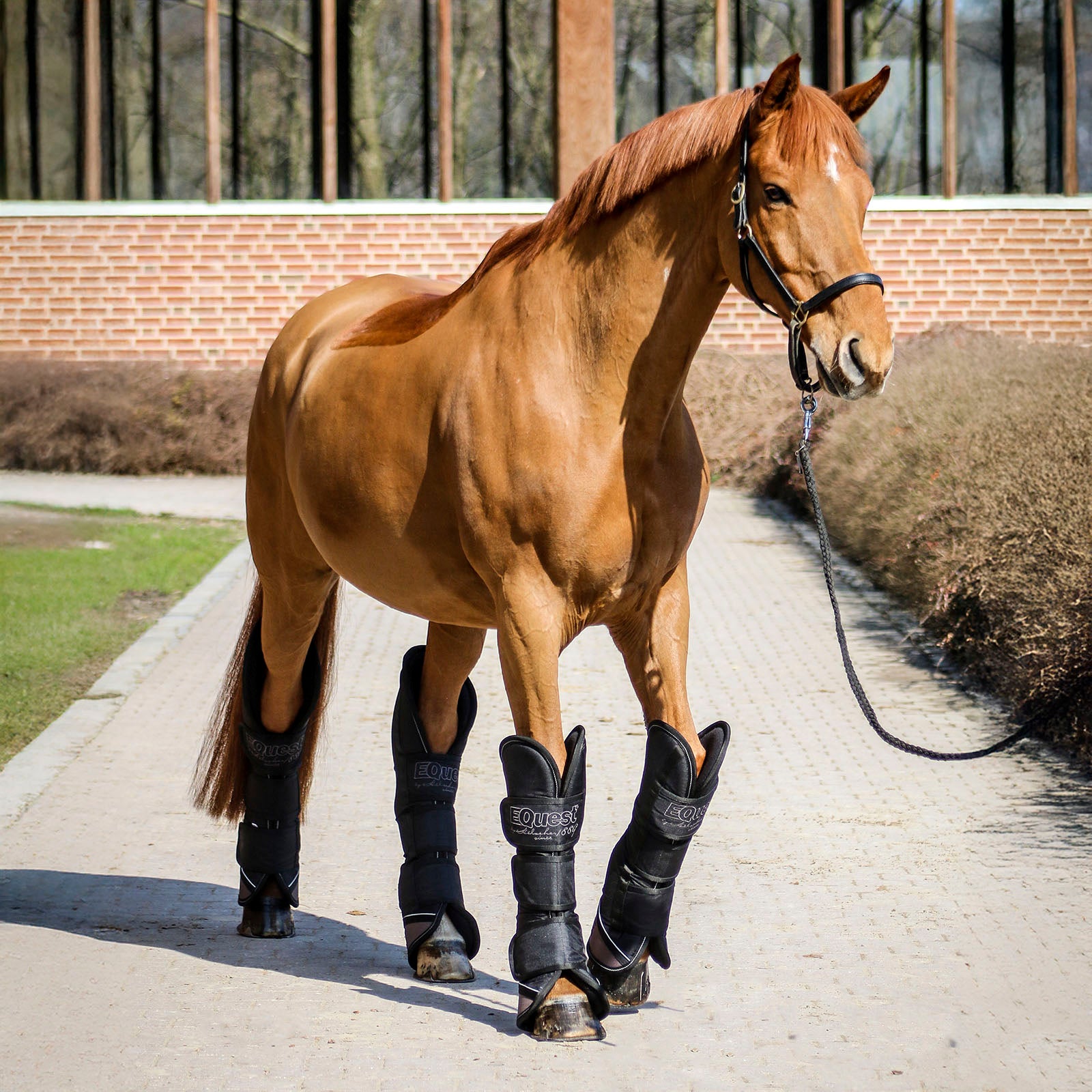 EQUEST Transportgamasche | 4er Set