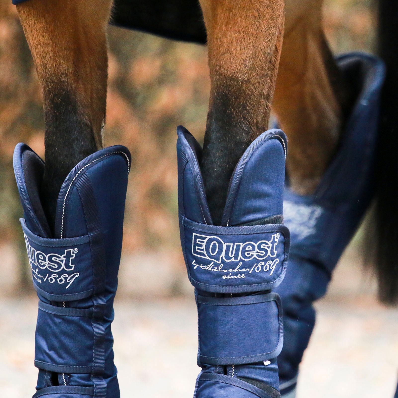 EQUEST Transportgamasche | 4er Set