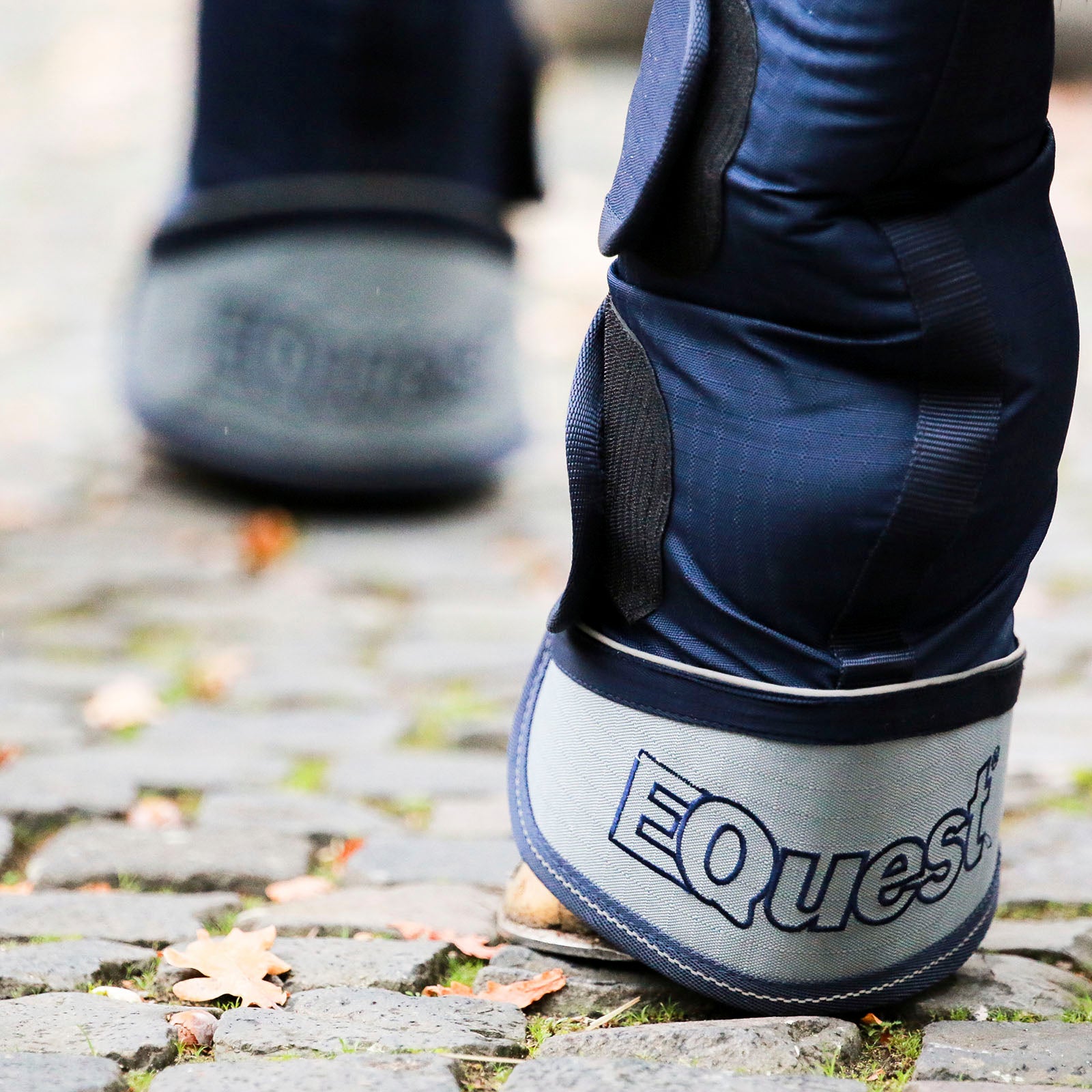 EQUEST Transportgamasche | 4er Set