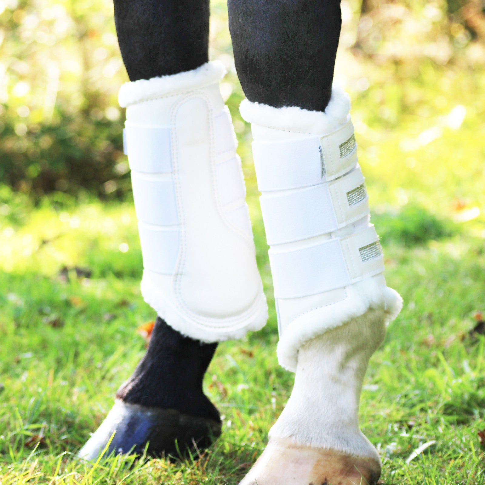 EQUEST Gamasche Crystal | 2er Set