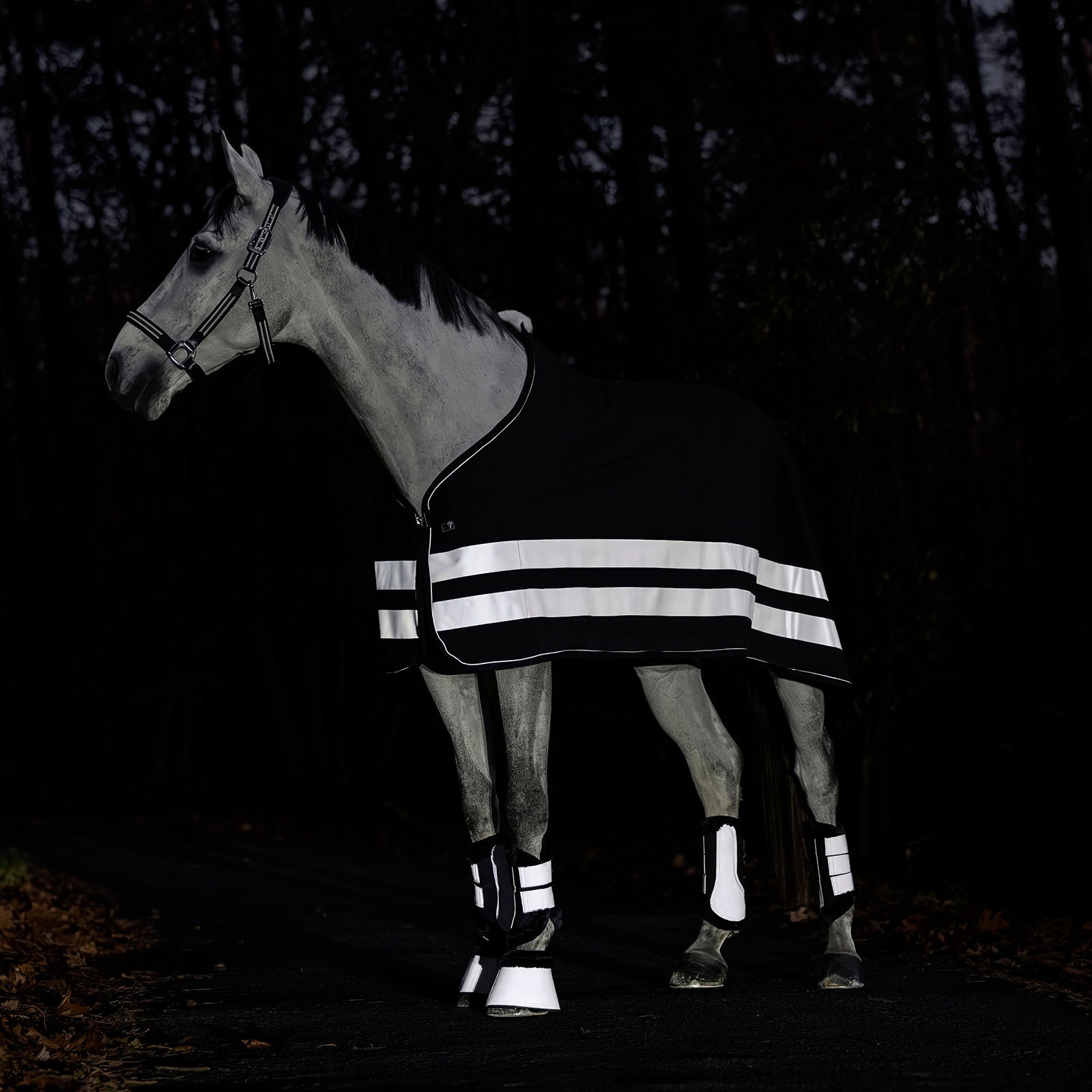 Guêtres EQUEST Reflect Line | Lot de 2