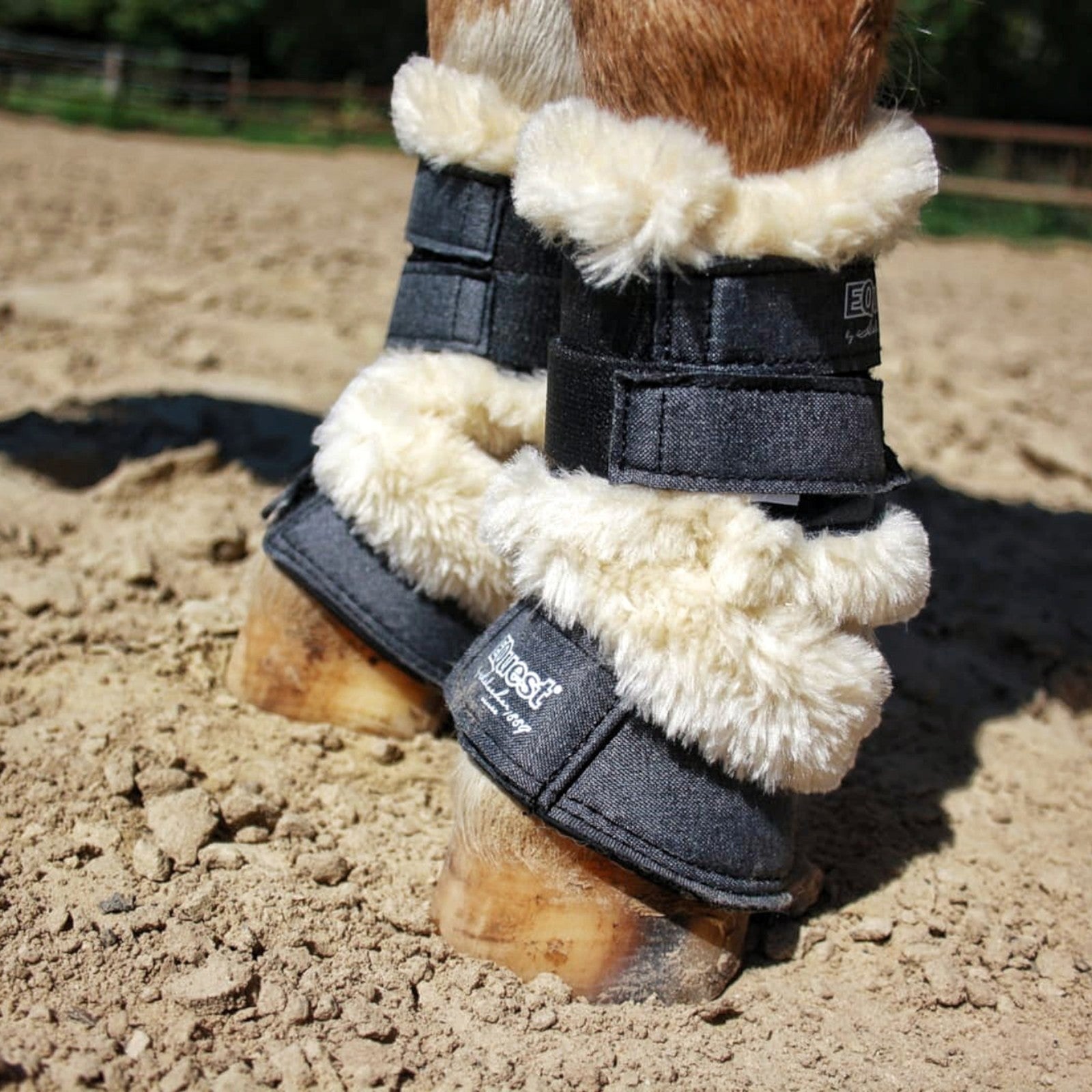 EQUEST Gamasche Melange Shetty | 2er Set