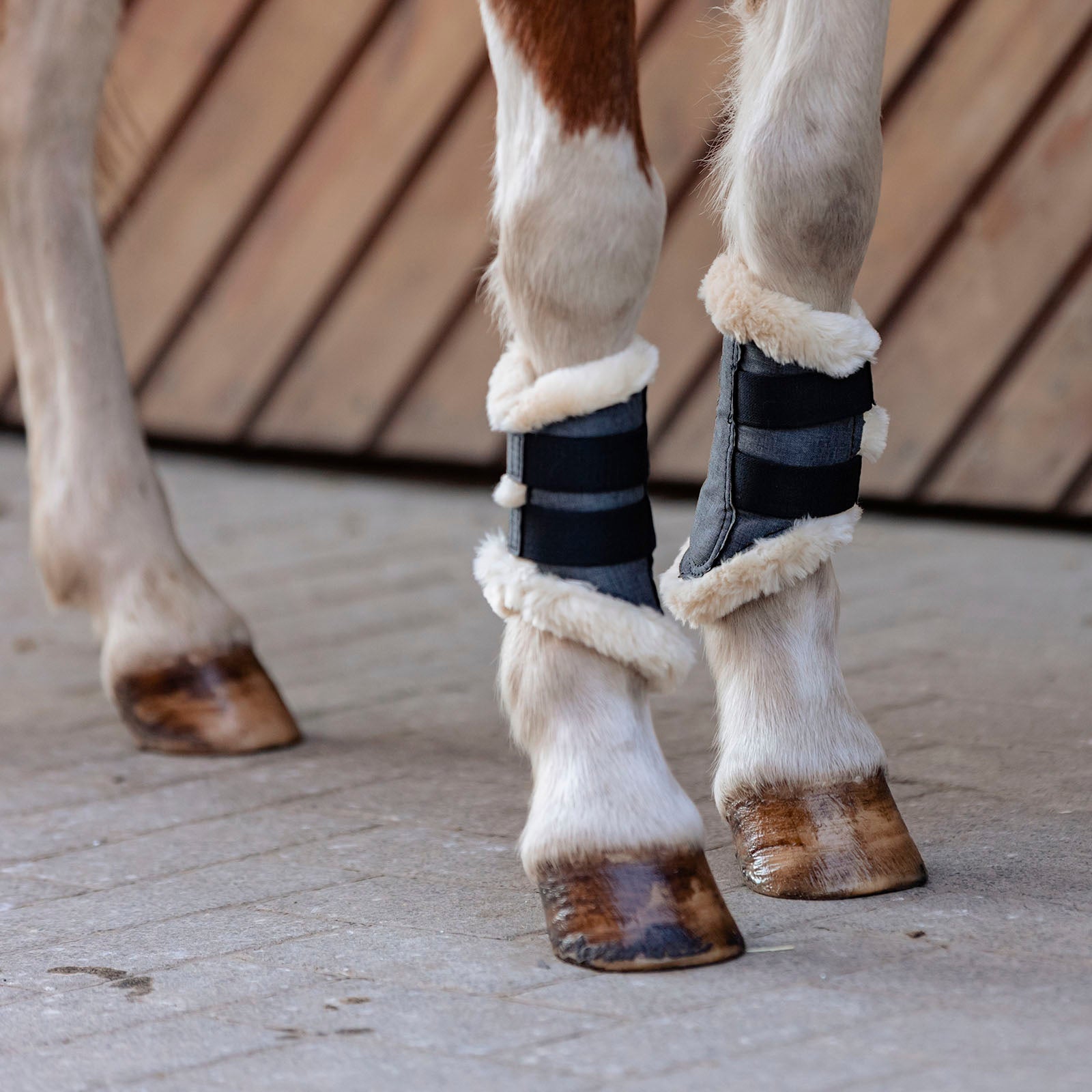 EQUEST Gamasche Melange Shetty | 2er Set