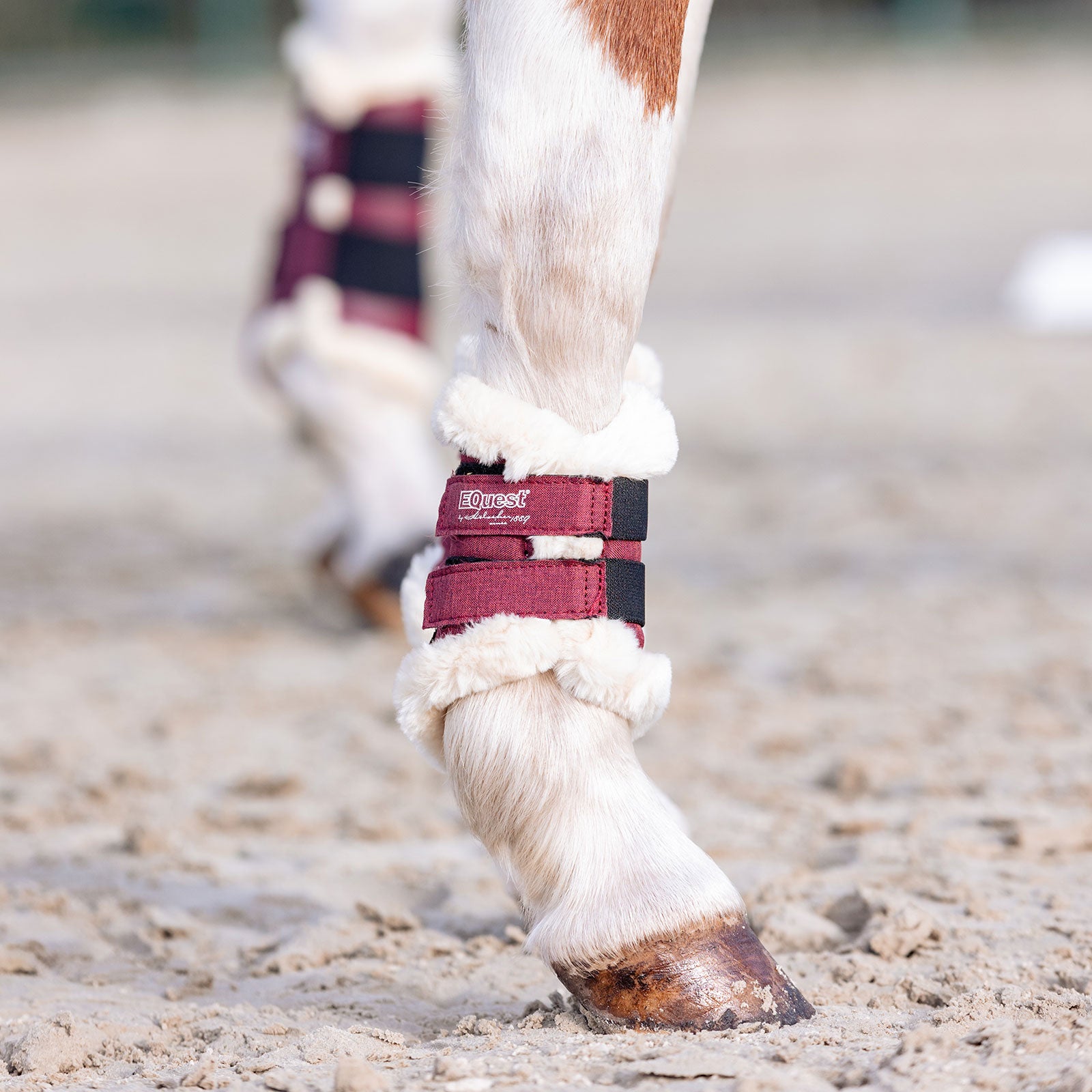 EQUEST Gamasche Melange Shetty | 2er Set