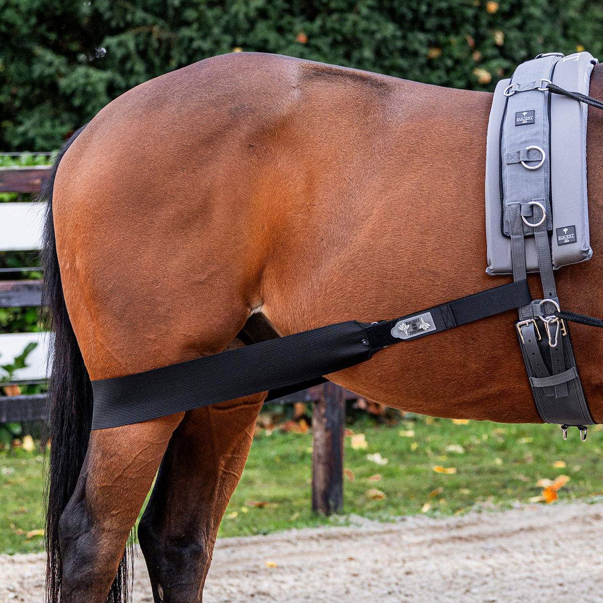 EQUEST Körper Bandage