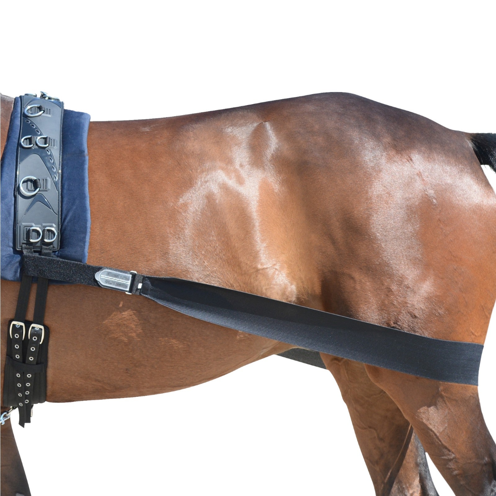 EQUEST Körper Bandage