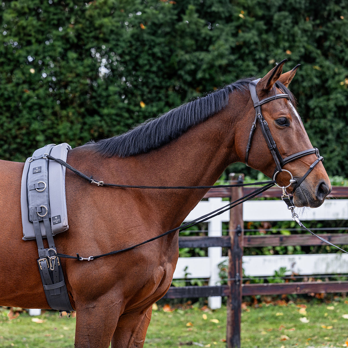 EQUEST Adjustable Lauffer Reins