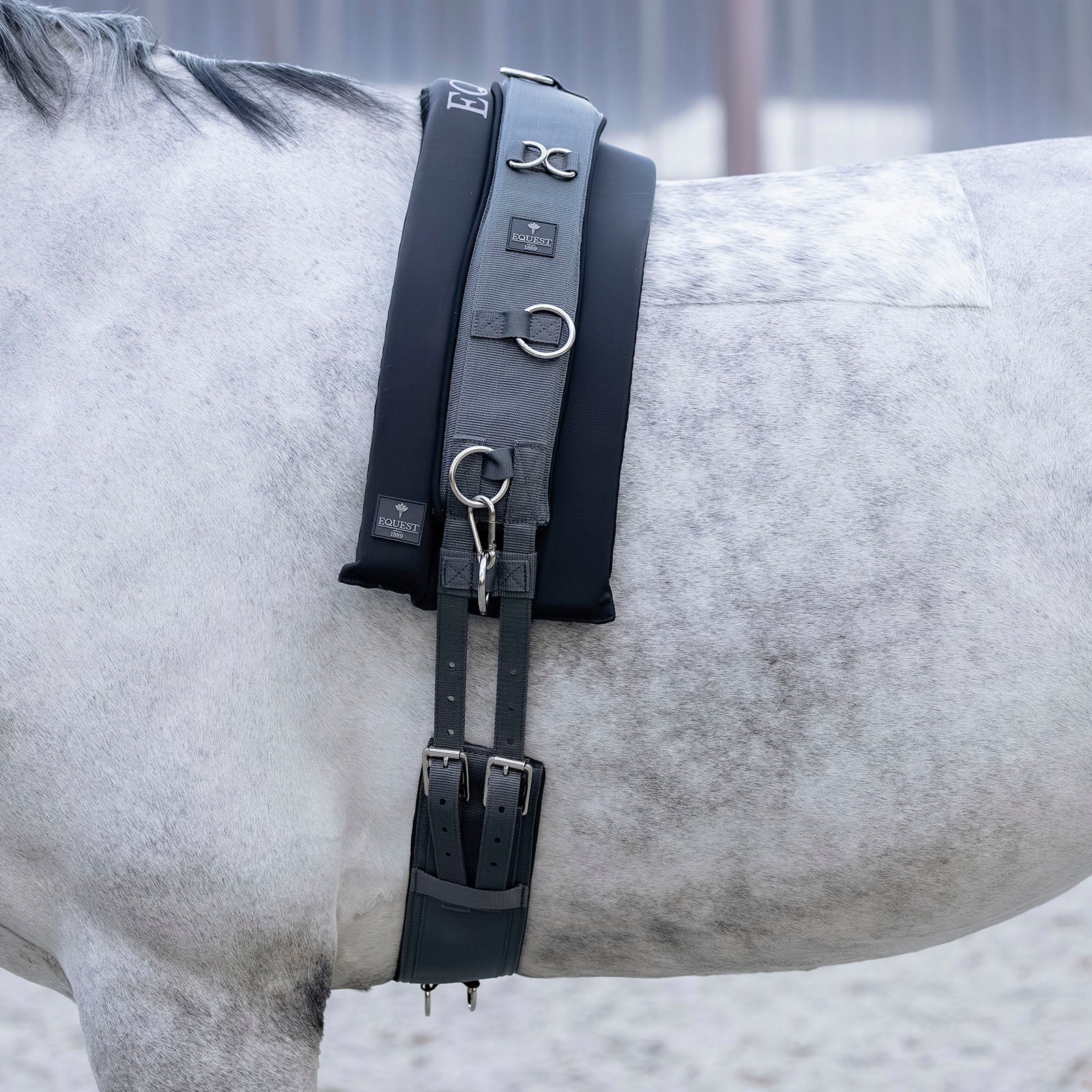 EQUEST TH Longiergurt