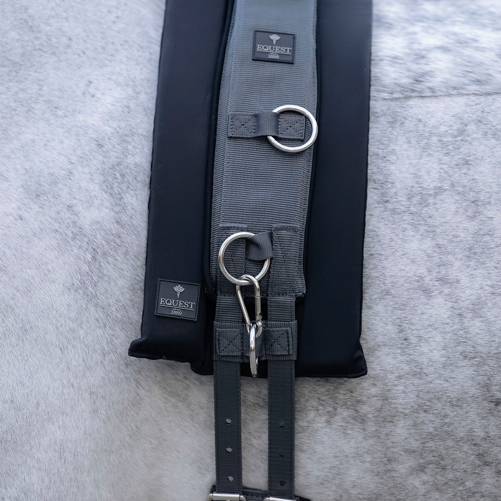 EQUEST TH Longierunterlage