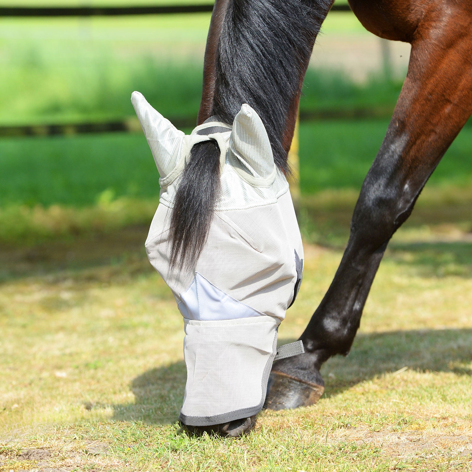 EQUEST Fliegenmaske AntiFly