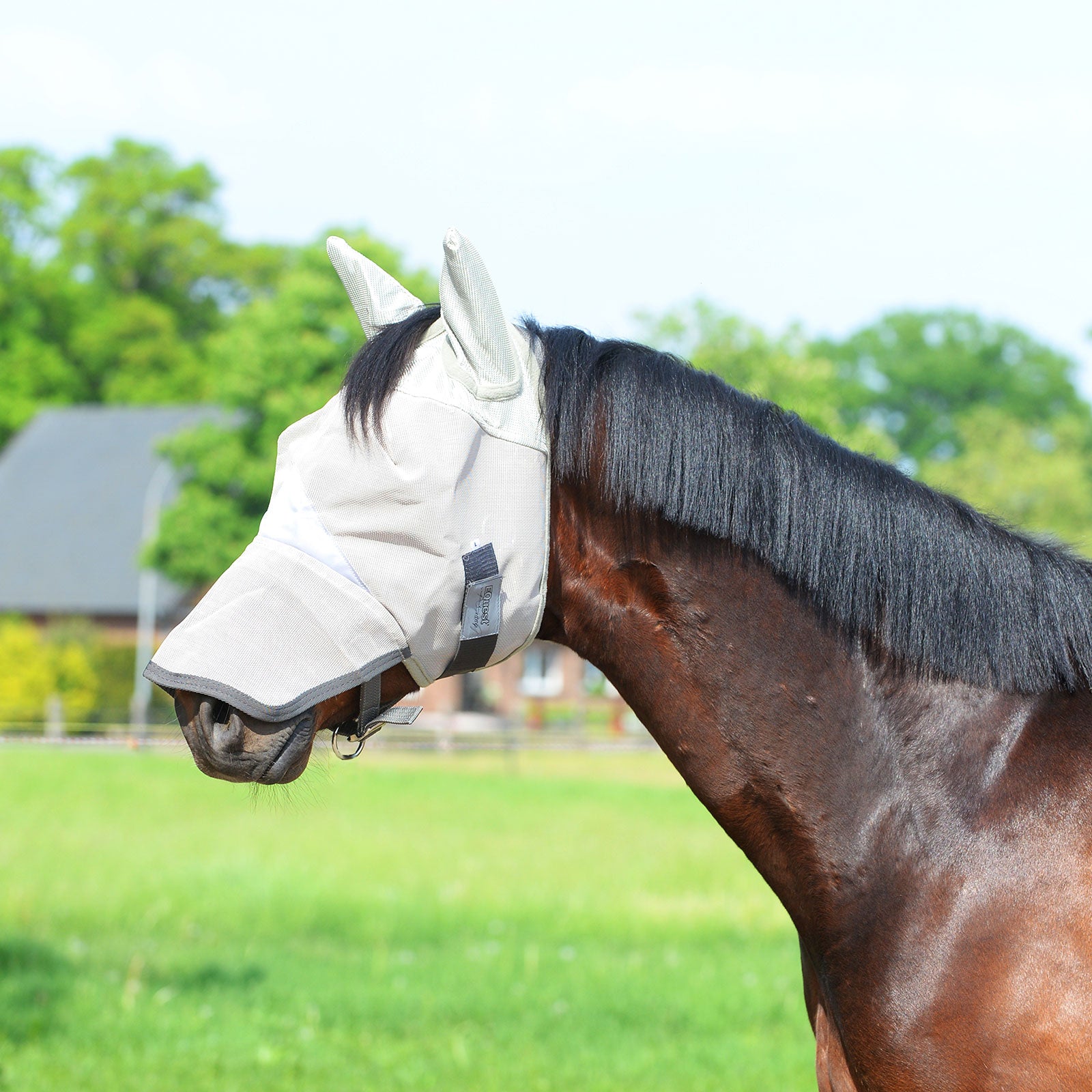 EQUEST Fly Mask AntiFly