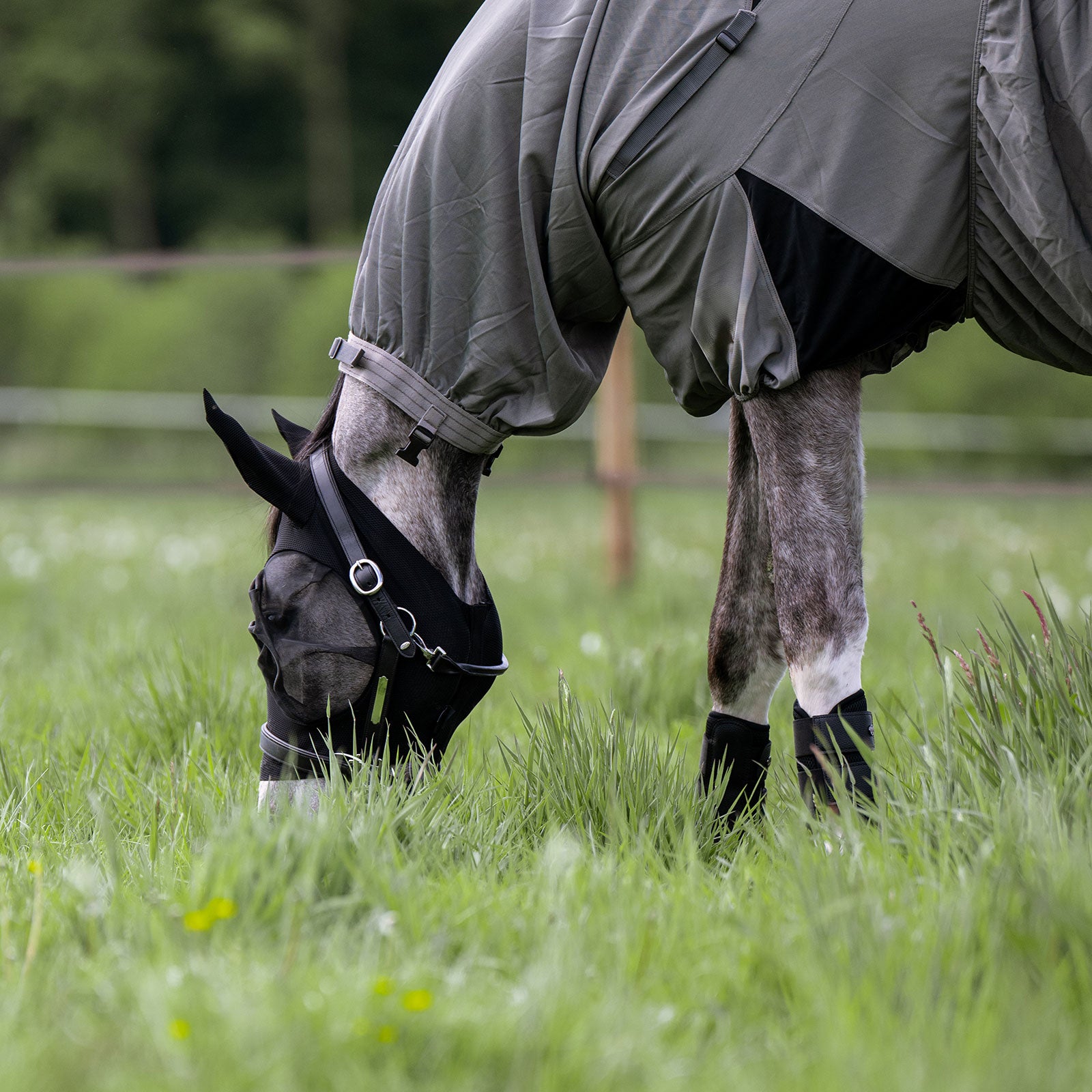 EQUEST Fliegenmaske Flexi Fly Guard Mesh