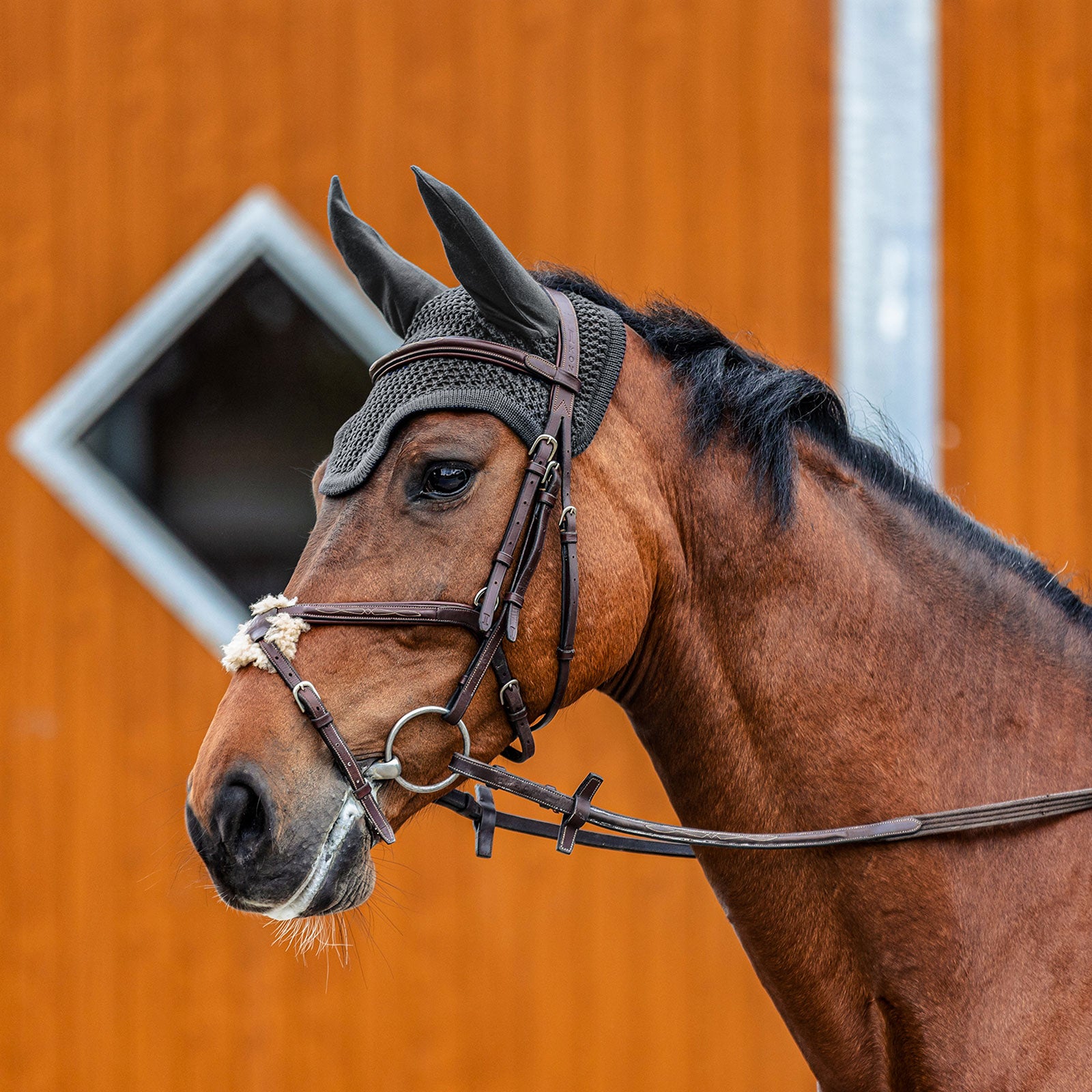 EQUEST Fly Ear | Standard