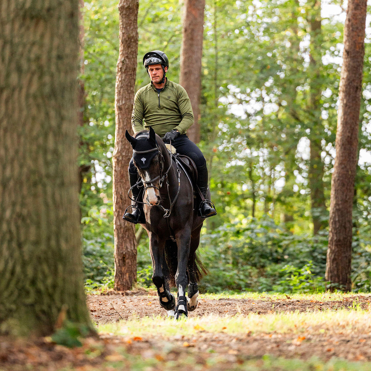 Reiter auf einem Rappen im Wald von vorn, mit EQUEST Fliegenohr in Schwarz und Gamaschen