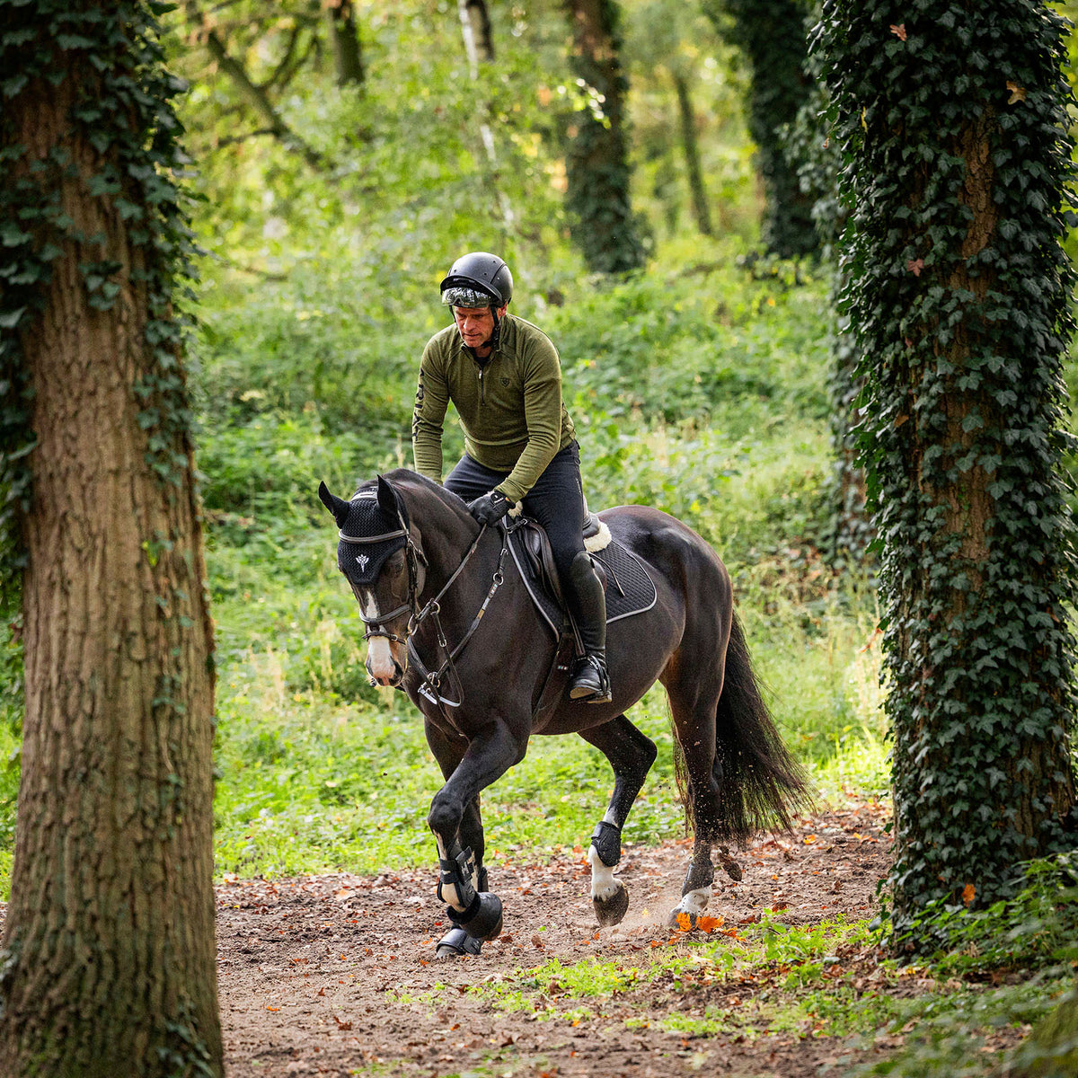 Reiter im Galopp auf einem Rappen zwischen Bäumen, mit EQUEST Schabracke, Fliegenohr, Gamaschen und Hufglocken