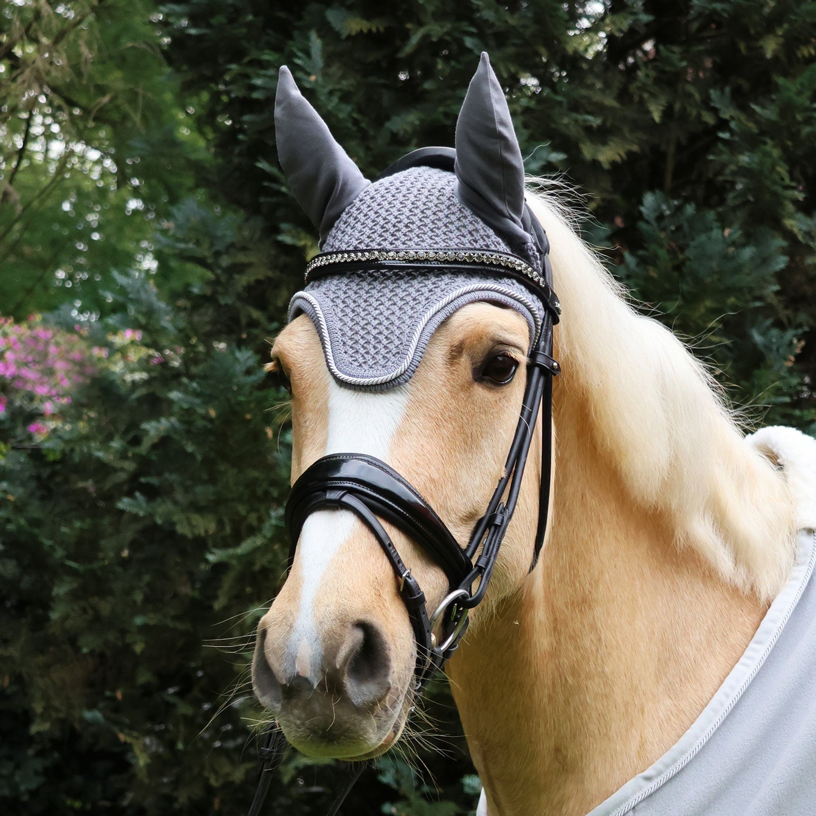 EQUEST Fliegenohr | mit einer Kordel
