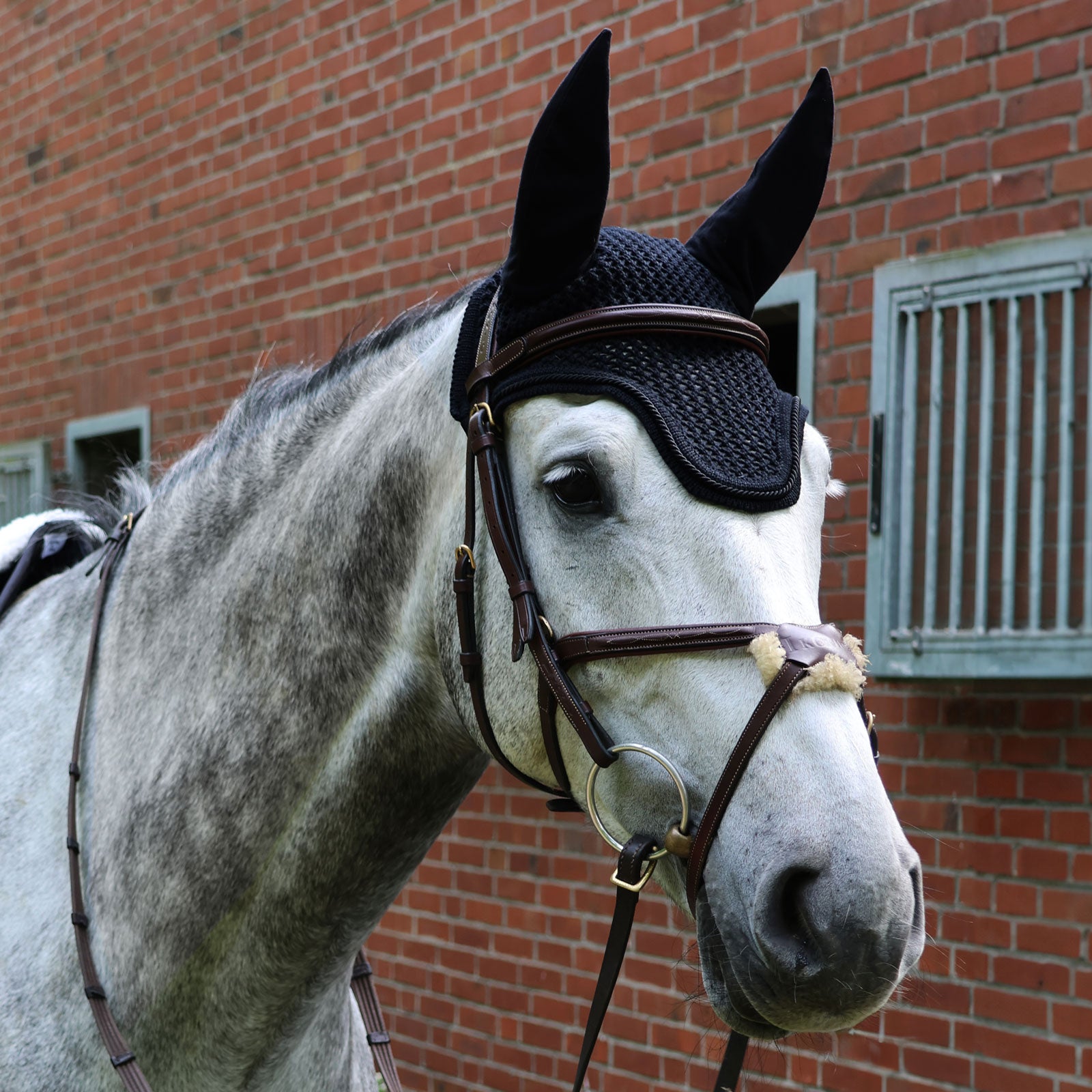 EQUEST Fliegenohr | mit einer Kordel