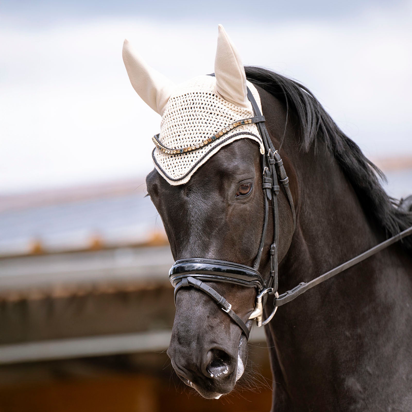 EQUEST Fly Ear | with a cord