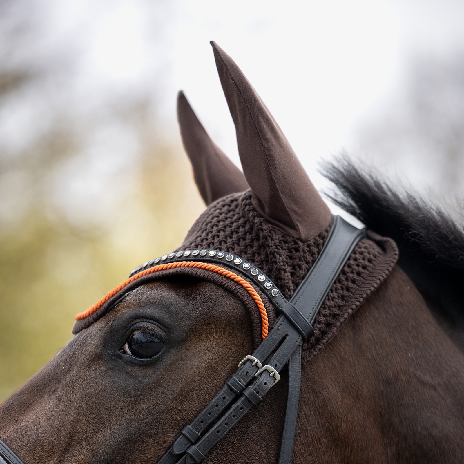 EQUEST Fliegenohr + Cord