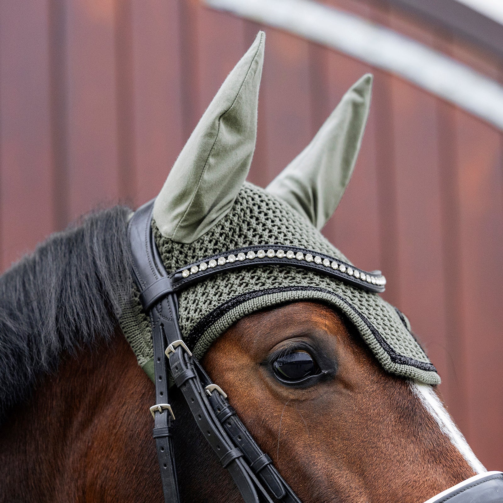 EQUEST Fly Ear + Ruban adhésif