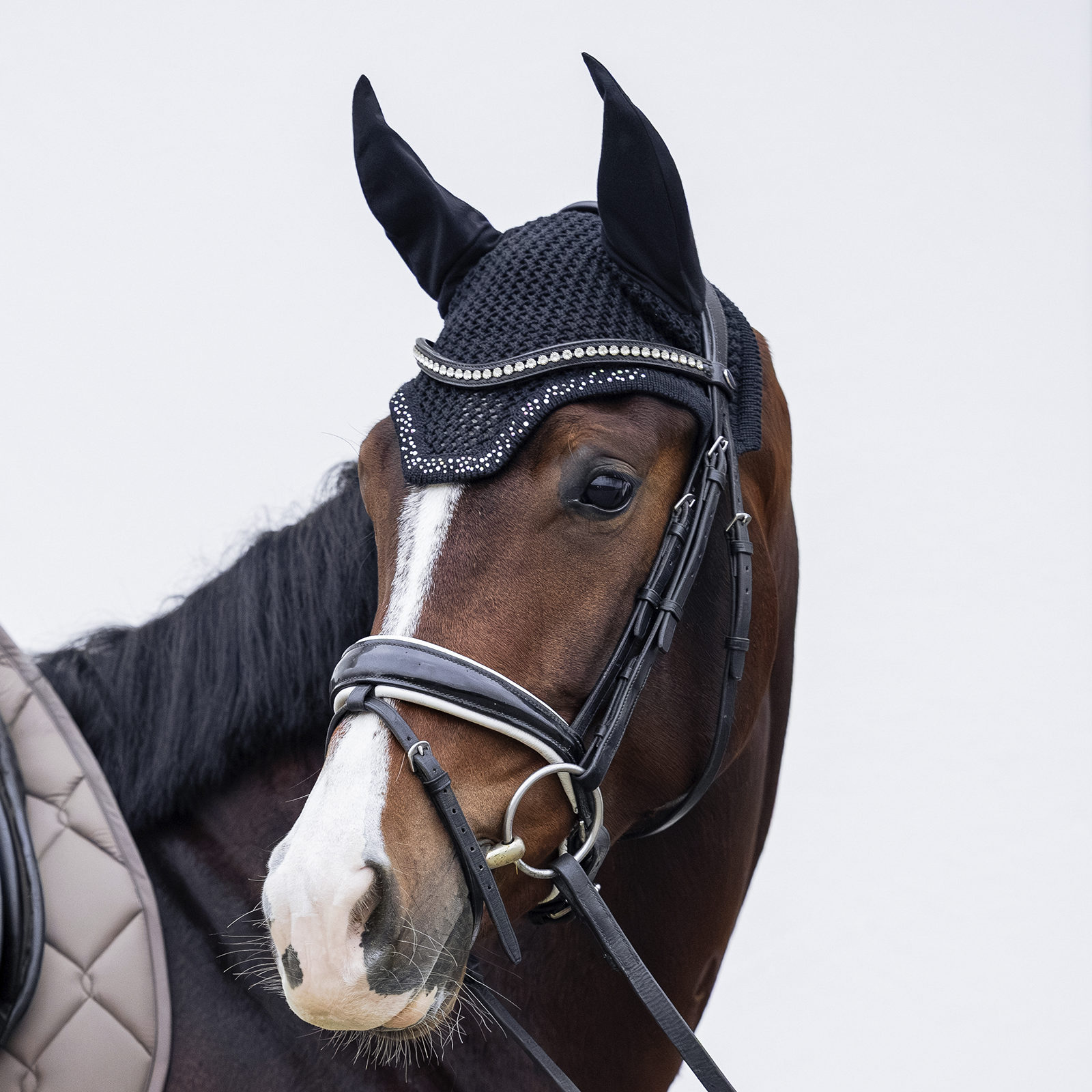 EQUEST Fliegenohr Delight