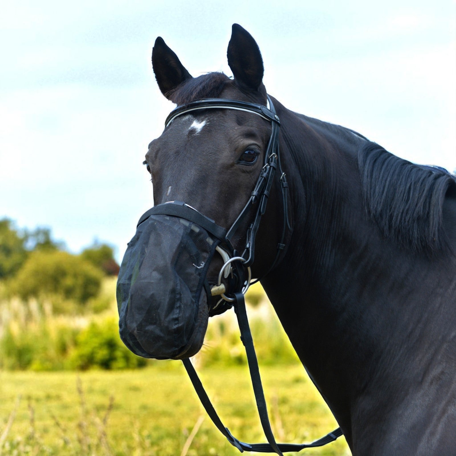 EQUEST Fliegenschutz - Head Shaking