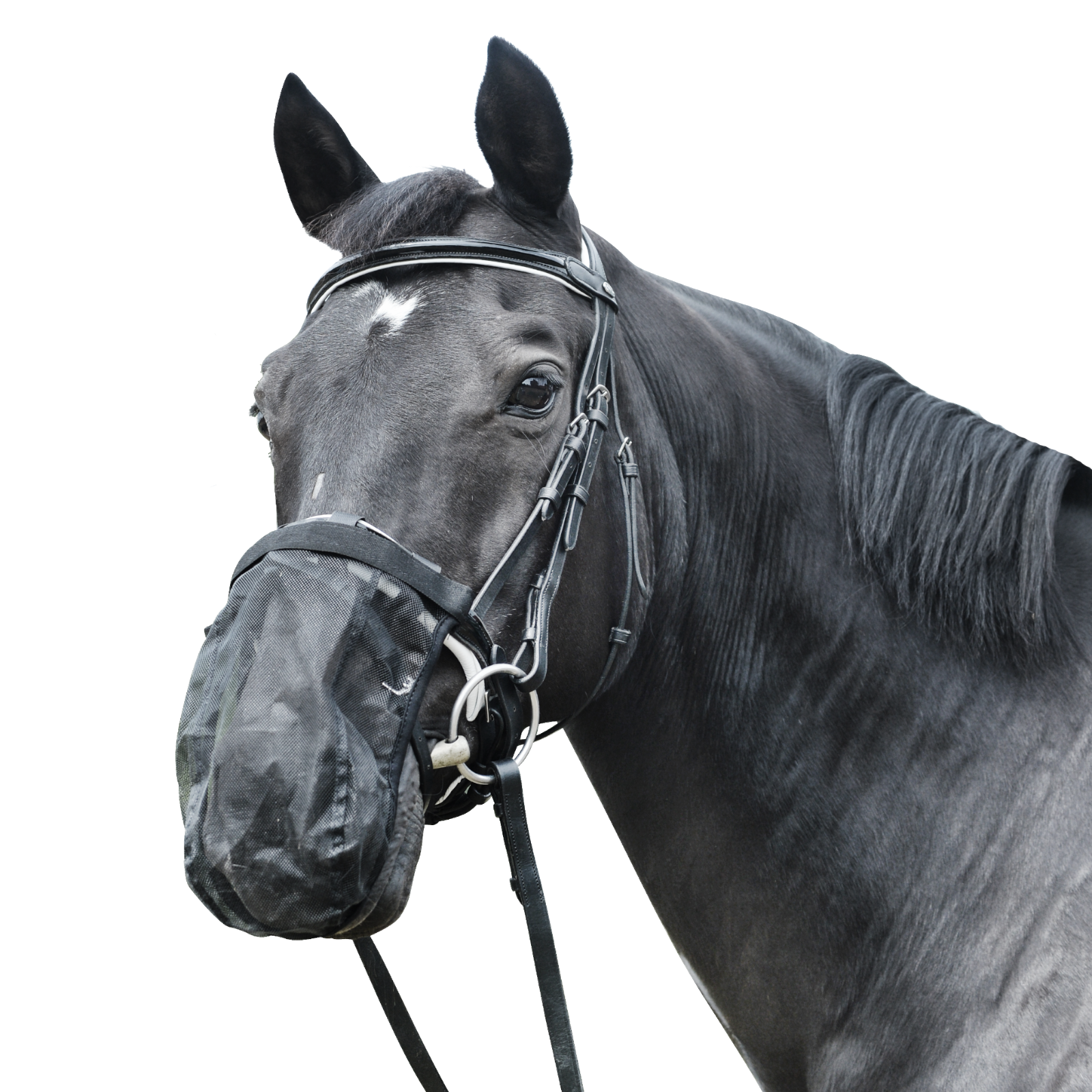 EQUEST Fliegenschutz - Head Shaking