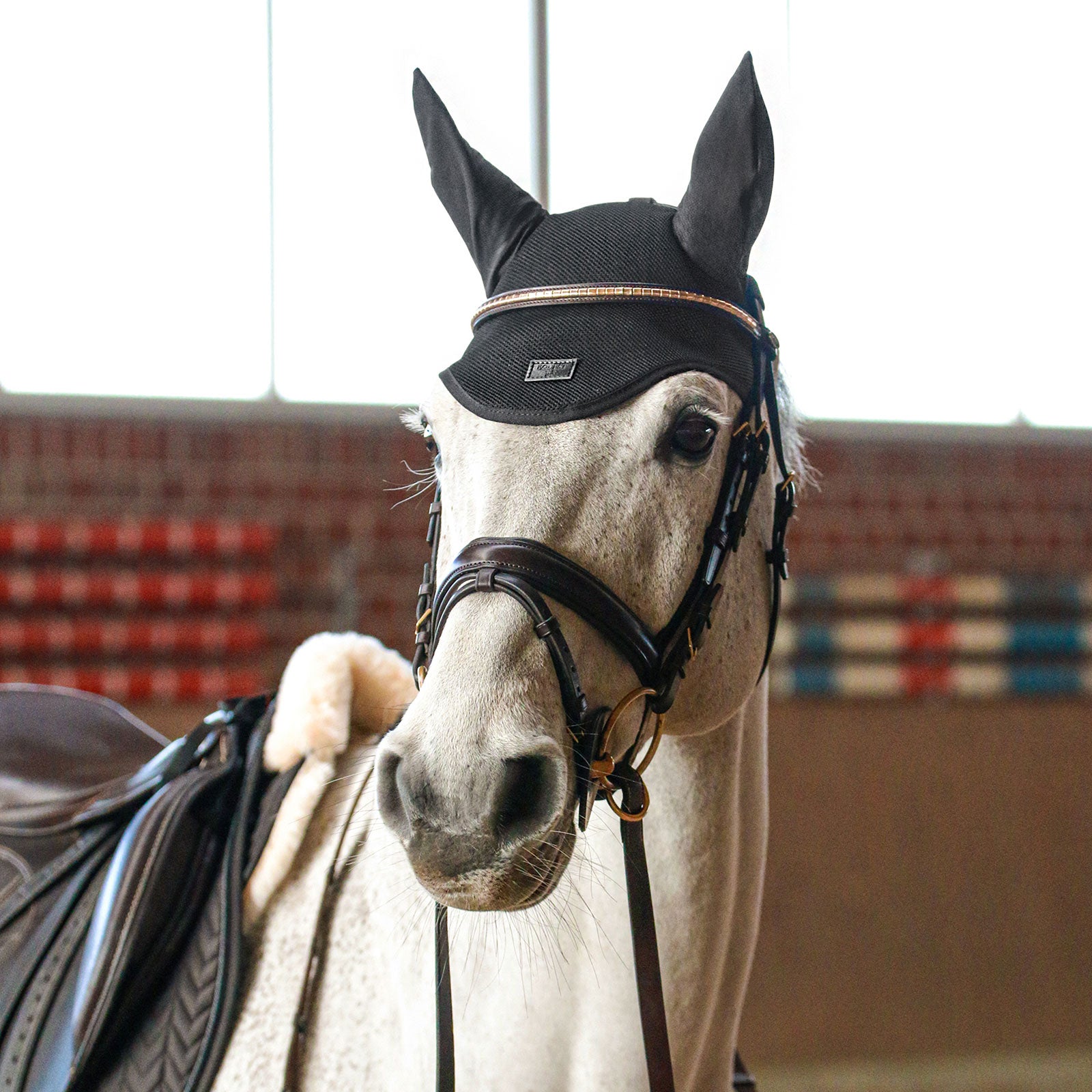EQUEST Fliegenohr Air Mesh