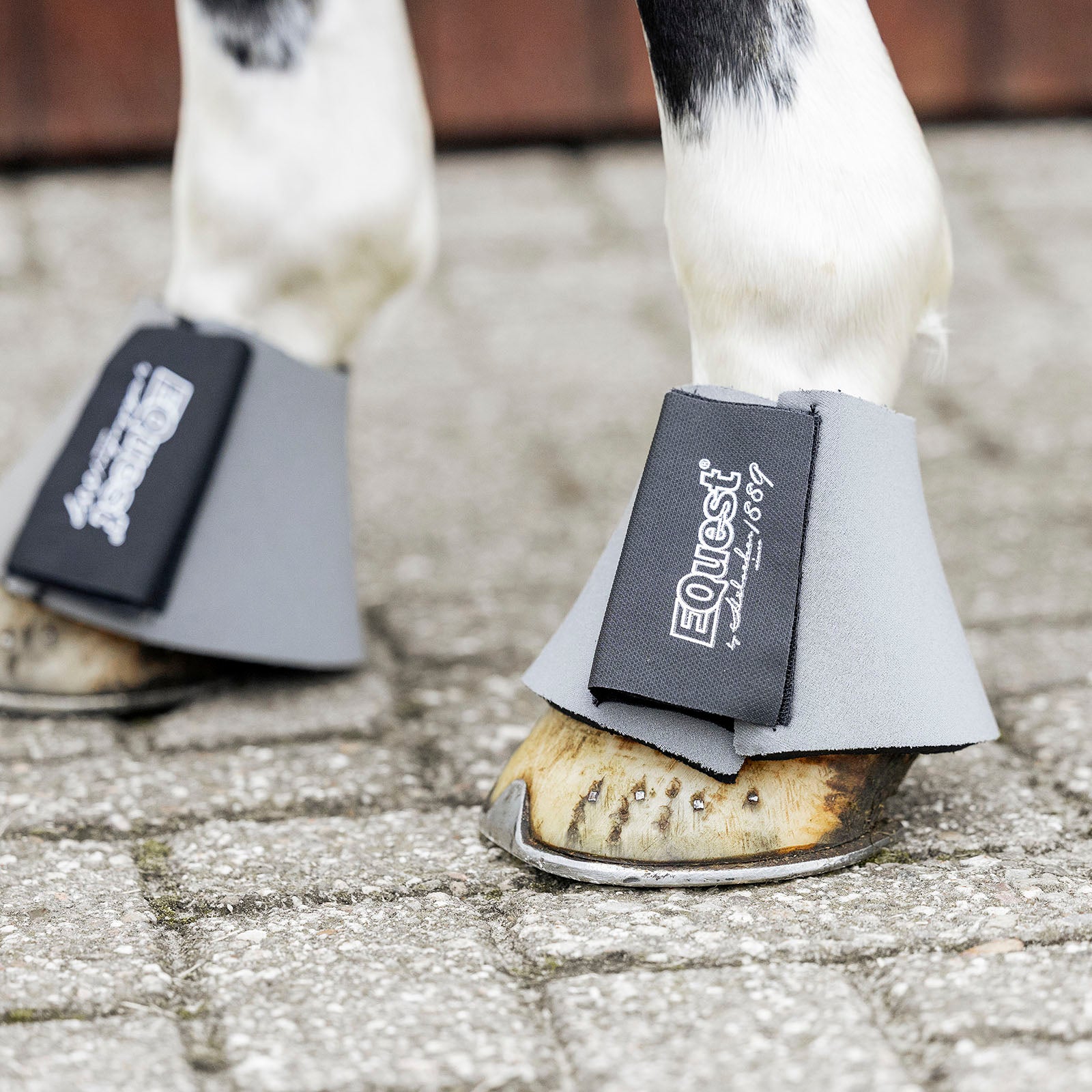 EQUEST Hufglocke Neopren | 2er Set