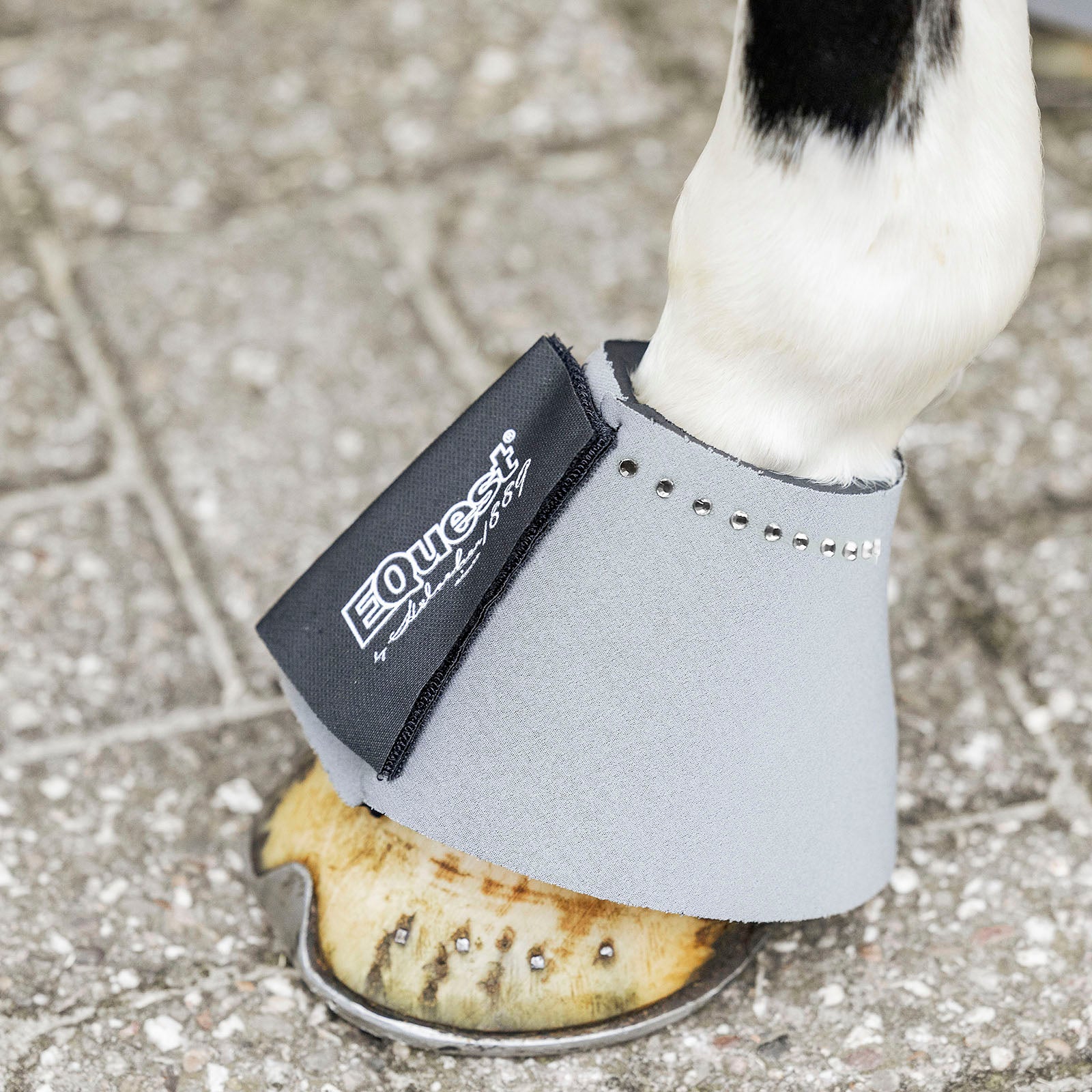 EQUEST Hufglocke Neopren Crystal | 2er Set