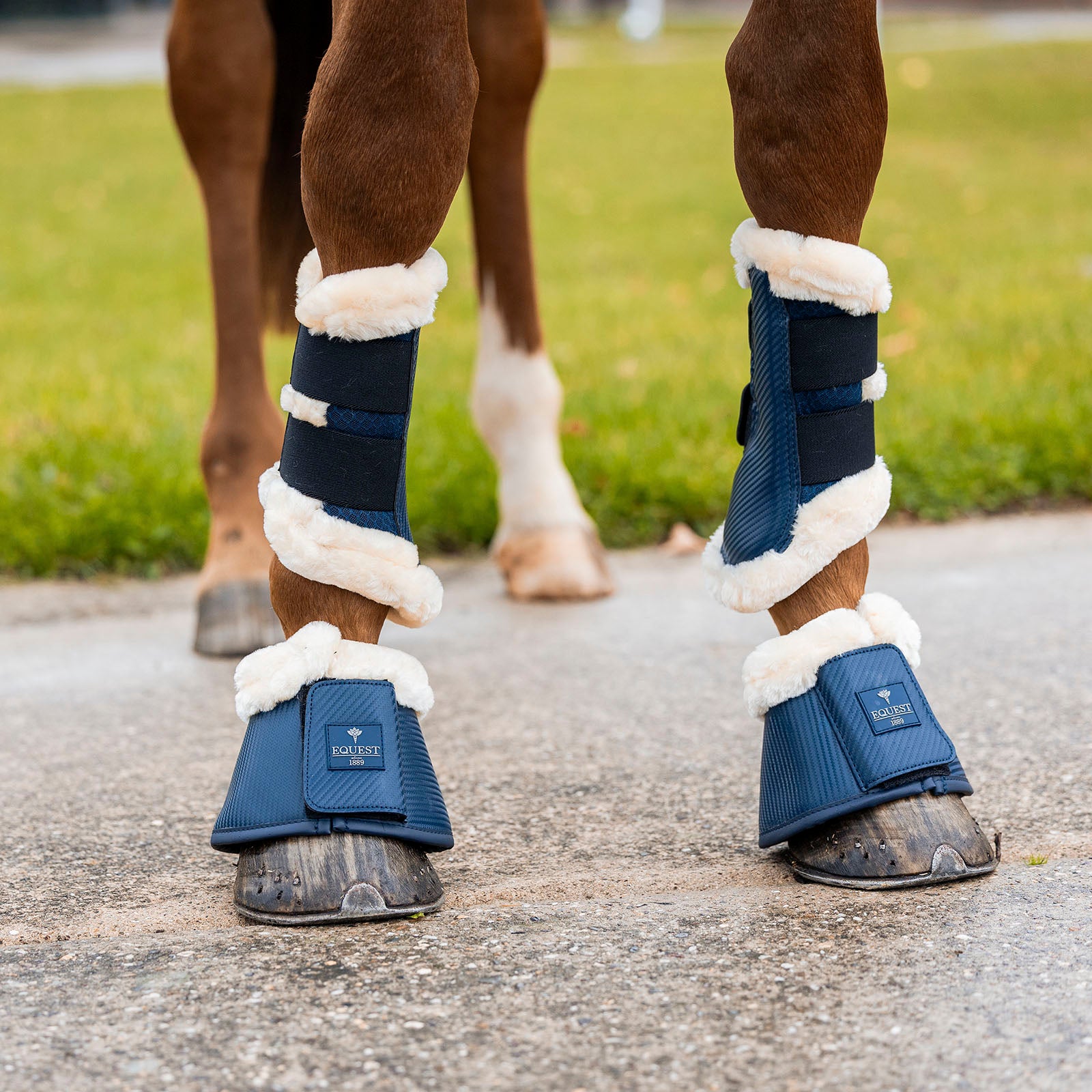 EQUEST Hufglocke Air Flow Mesh Carbon | 2er Set