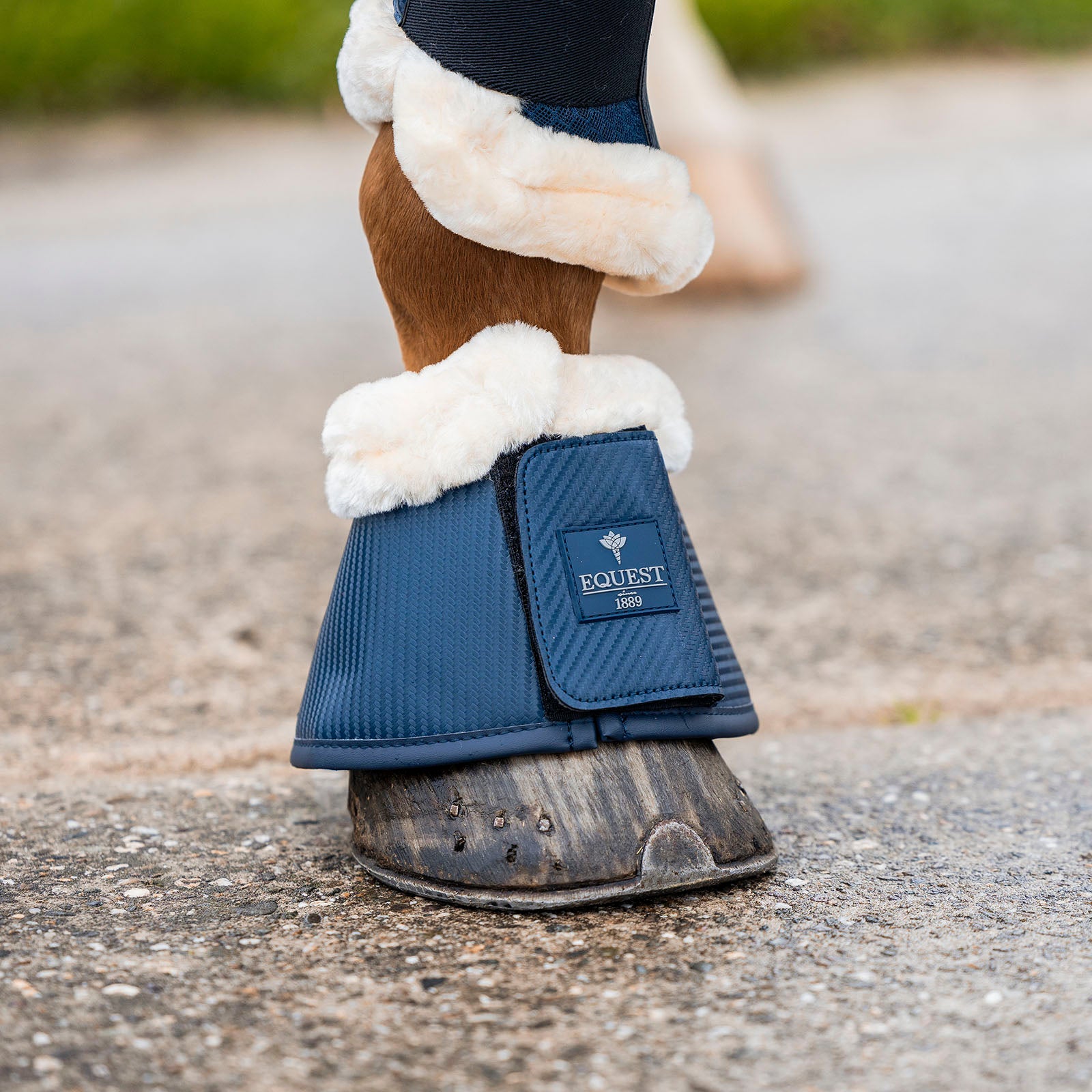 EQUEST Hufglocke Air Flow Mesh Carbon | 2er Set