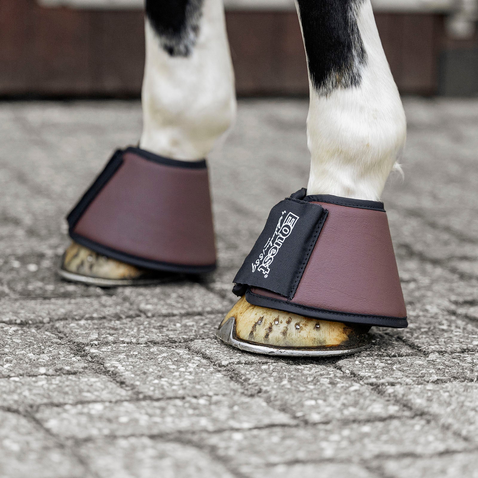 EQUEST Hufglocke Waschleder | 2er Set