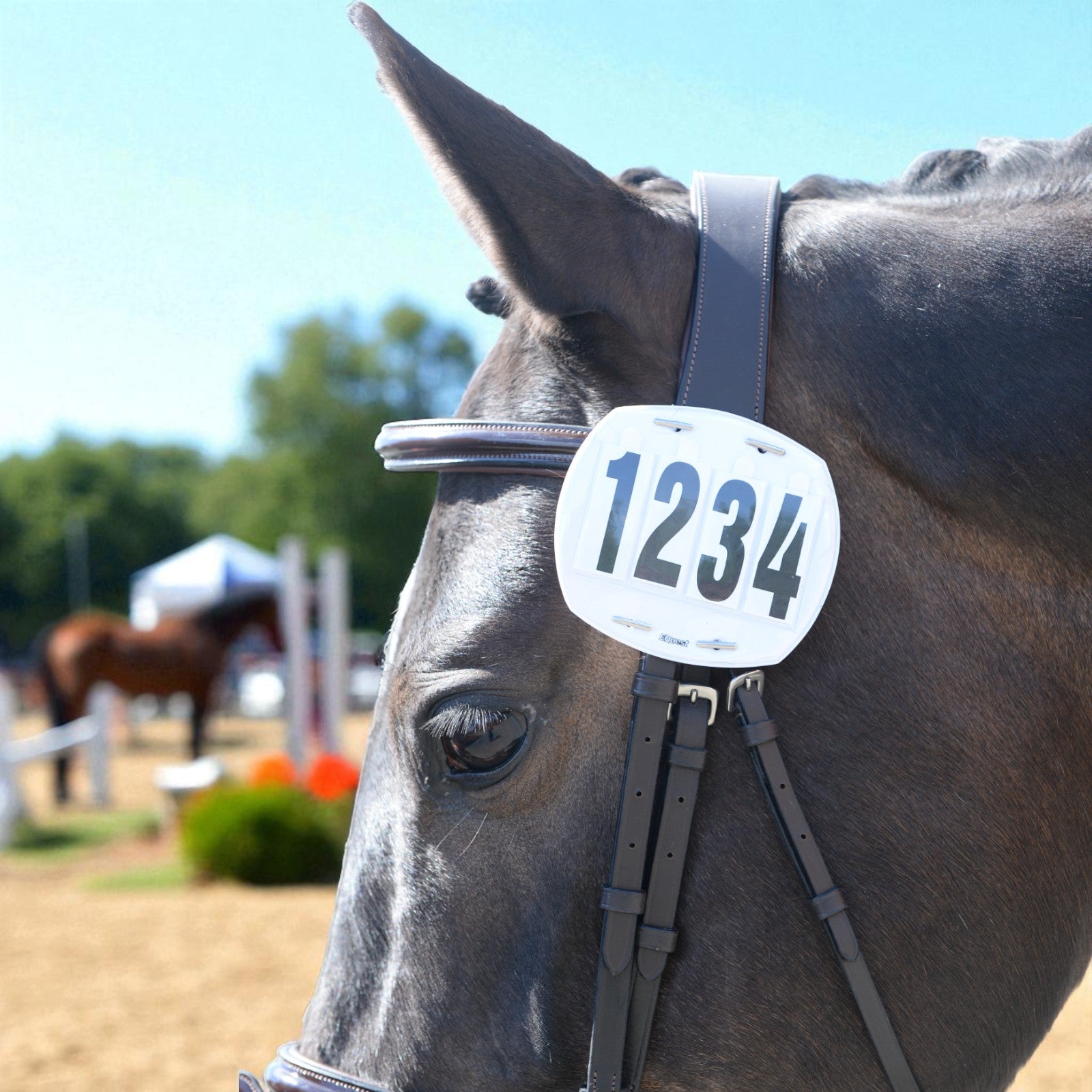 EQUEST Startnummern mit Mappe | groß 4-stellig