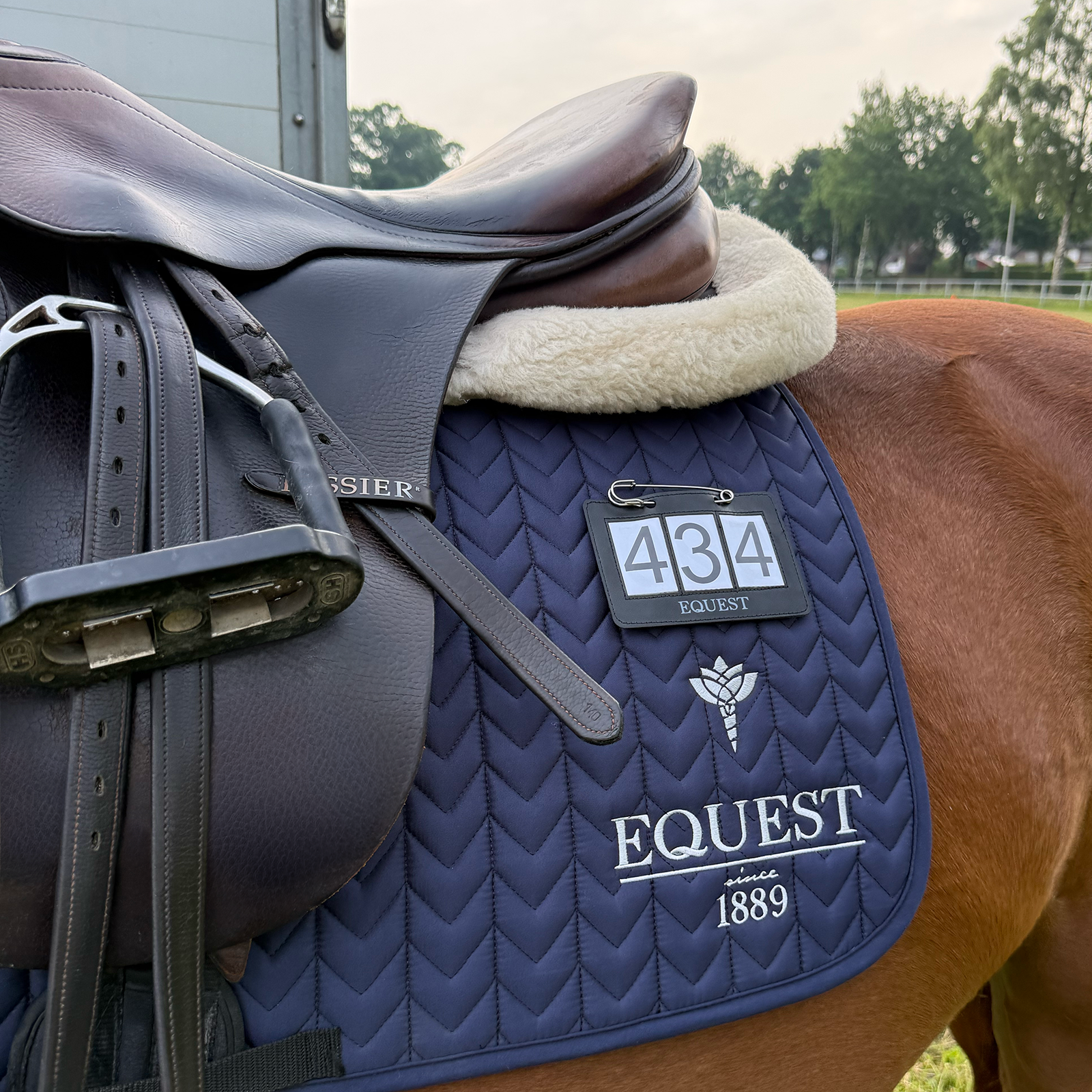 EQUEST by Hoelscher