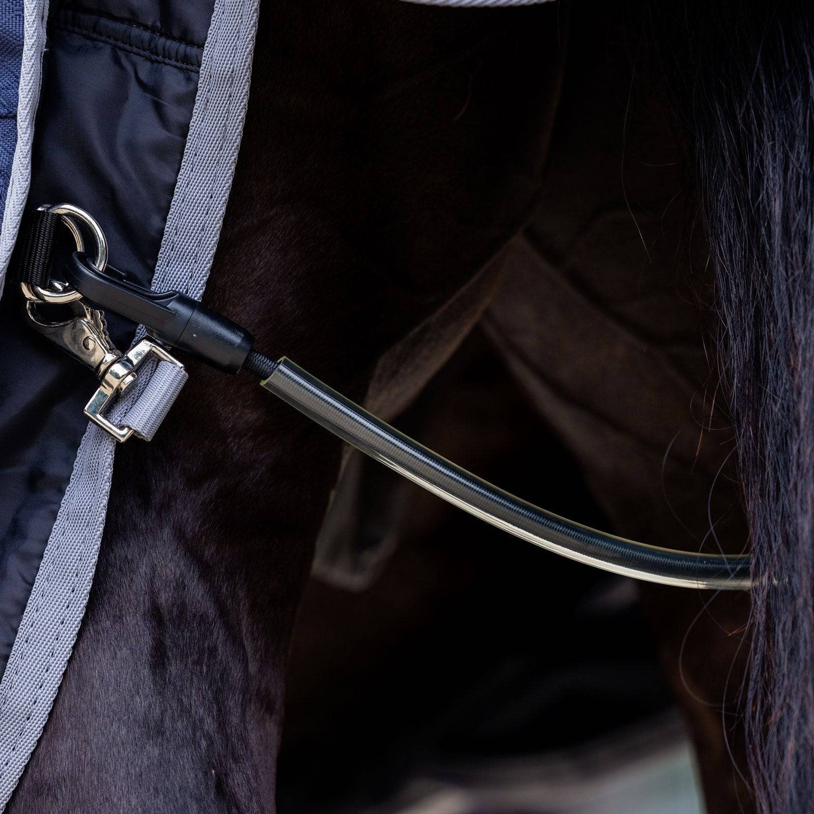 EQUEST Schweifriemen - EQUEST by Hoelscher