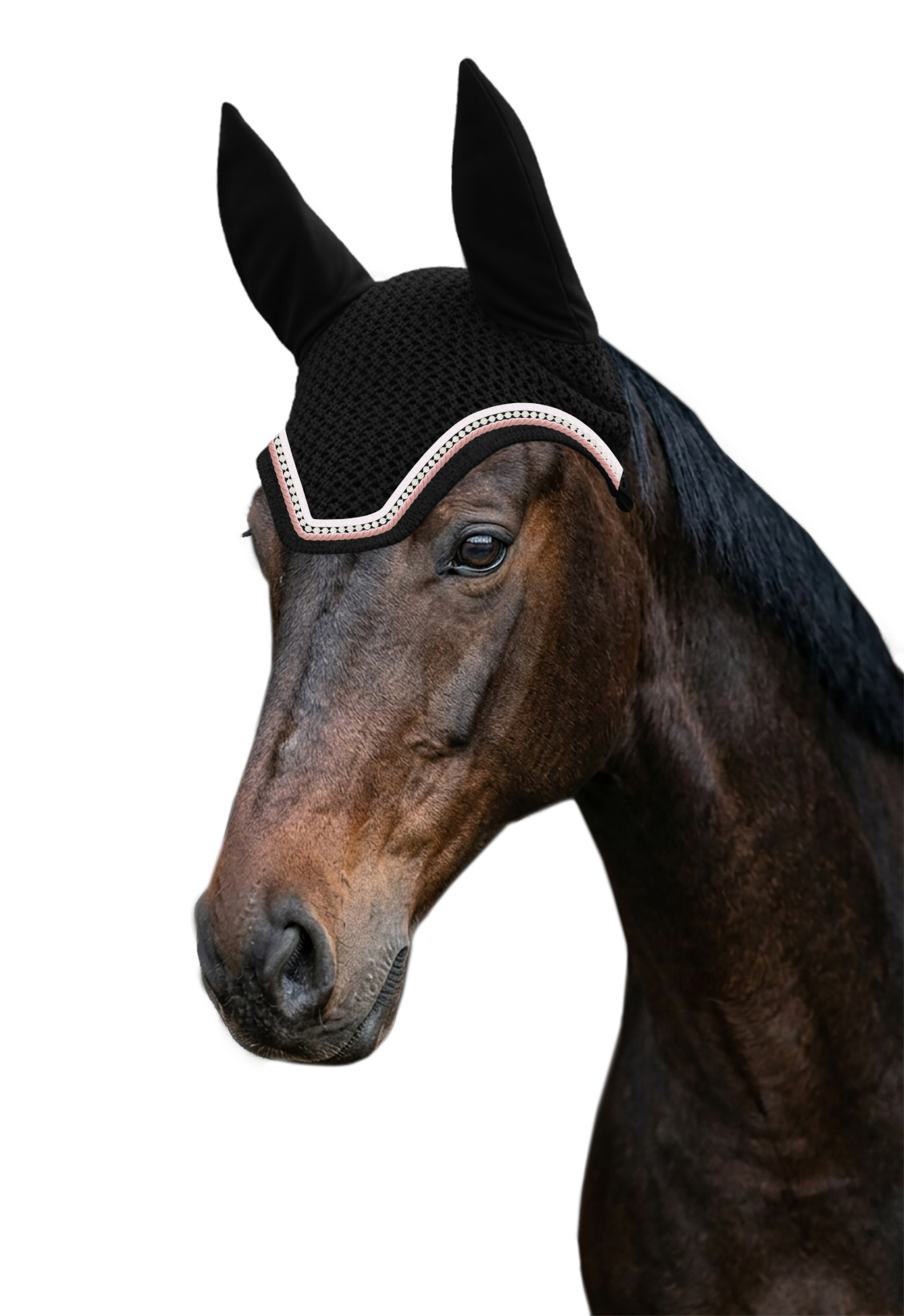 Fliegenohr