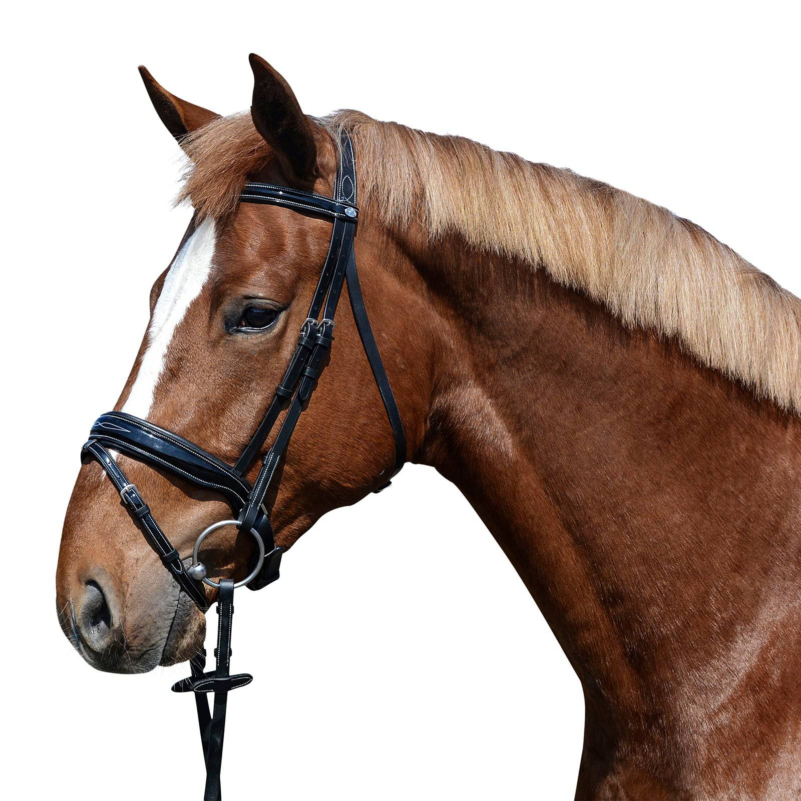 EQUEST Trense Glossy Seams - schwedisch - EQUEST by Hoelscher