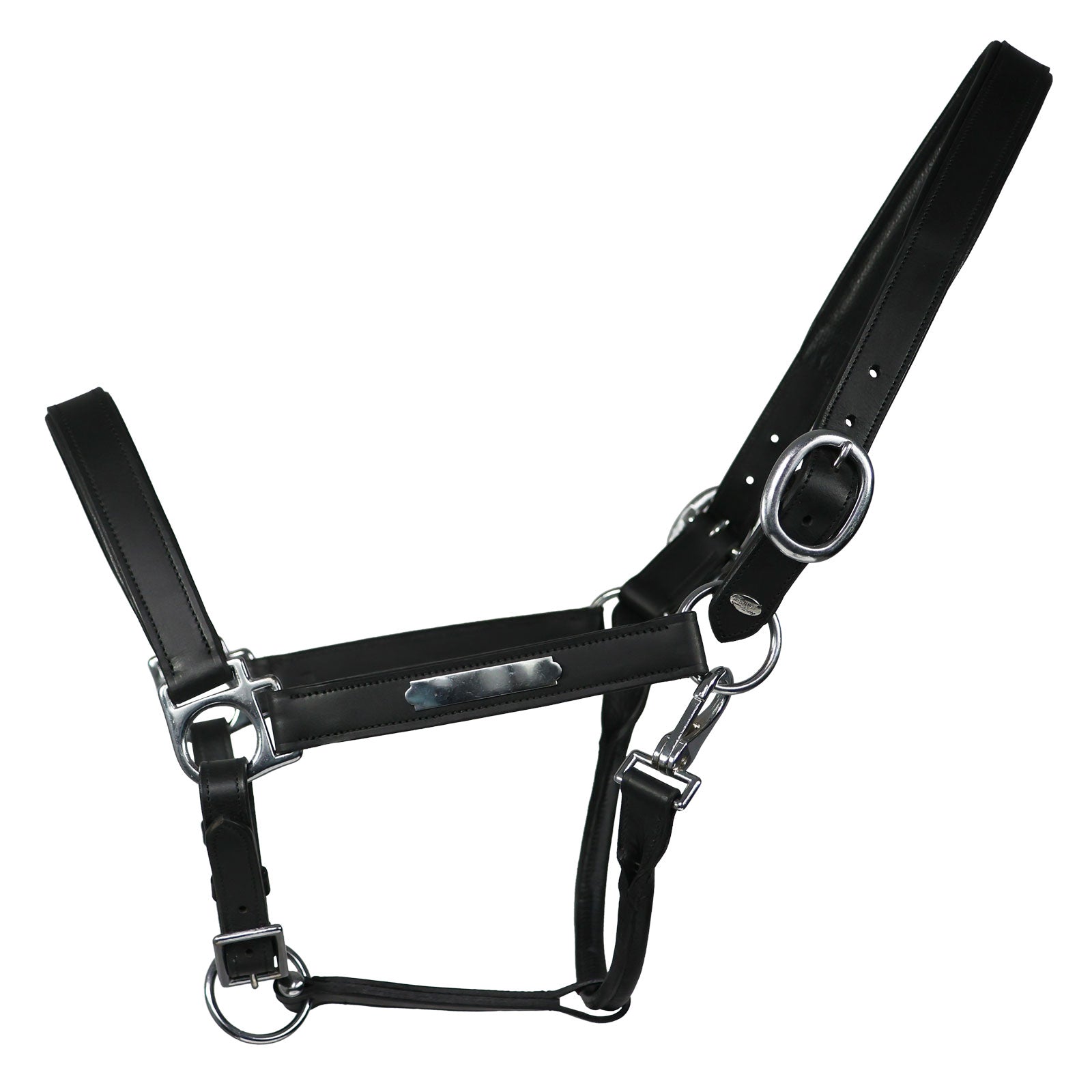 EQUEST Lederhalfter Inscribe