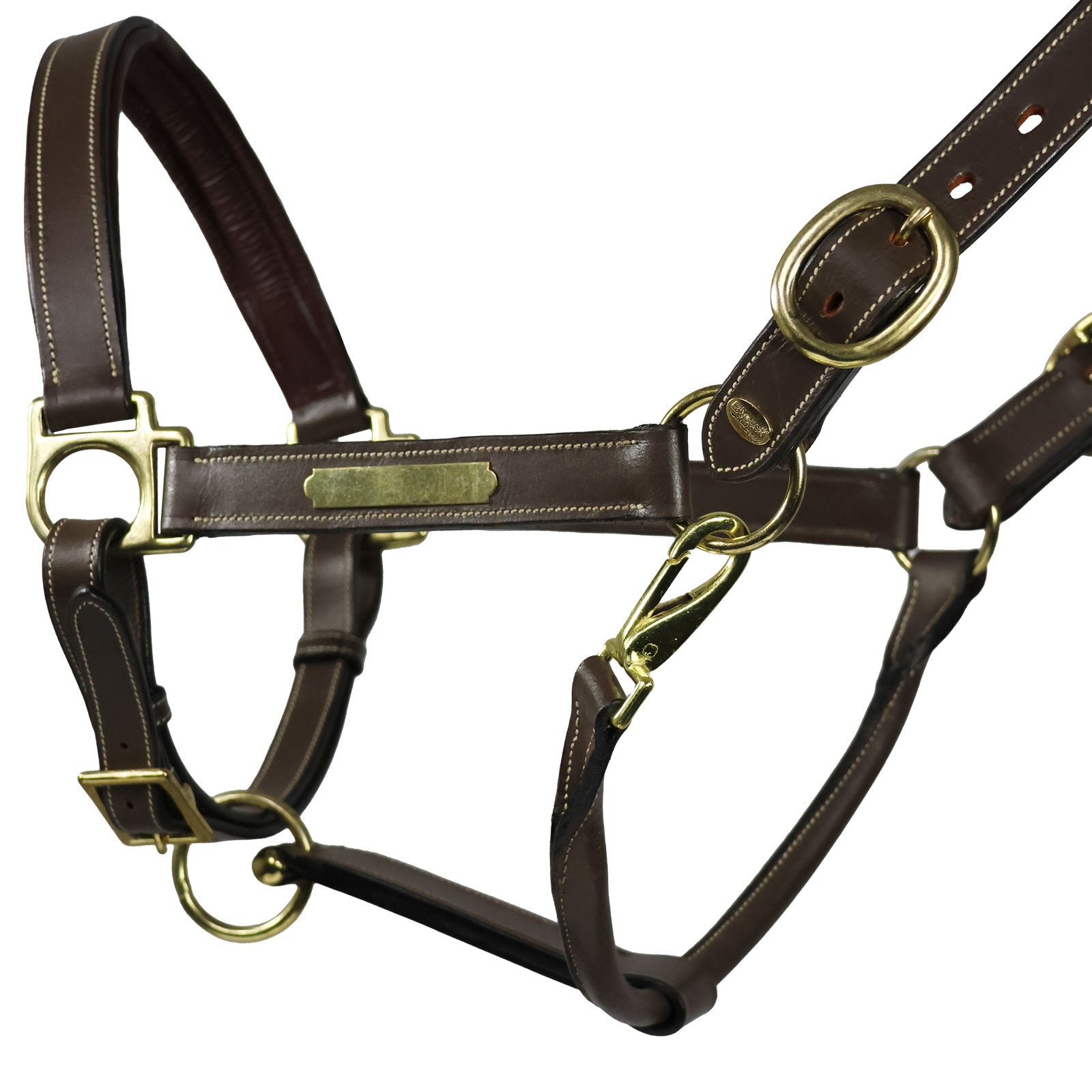 EQUEST Lederhalfter Inscribe