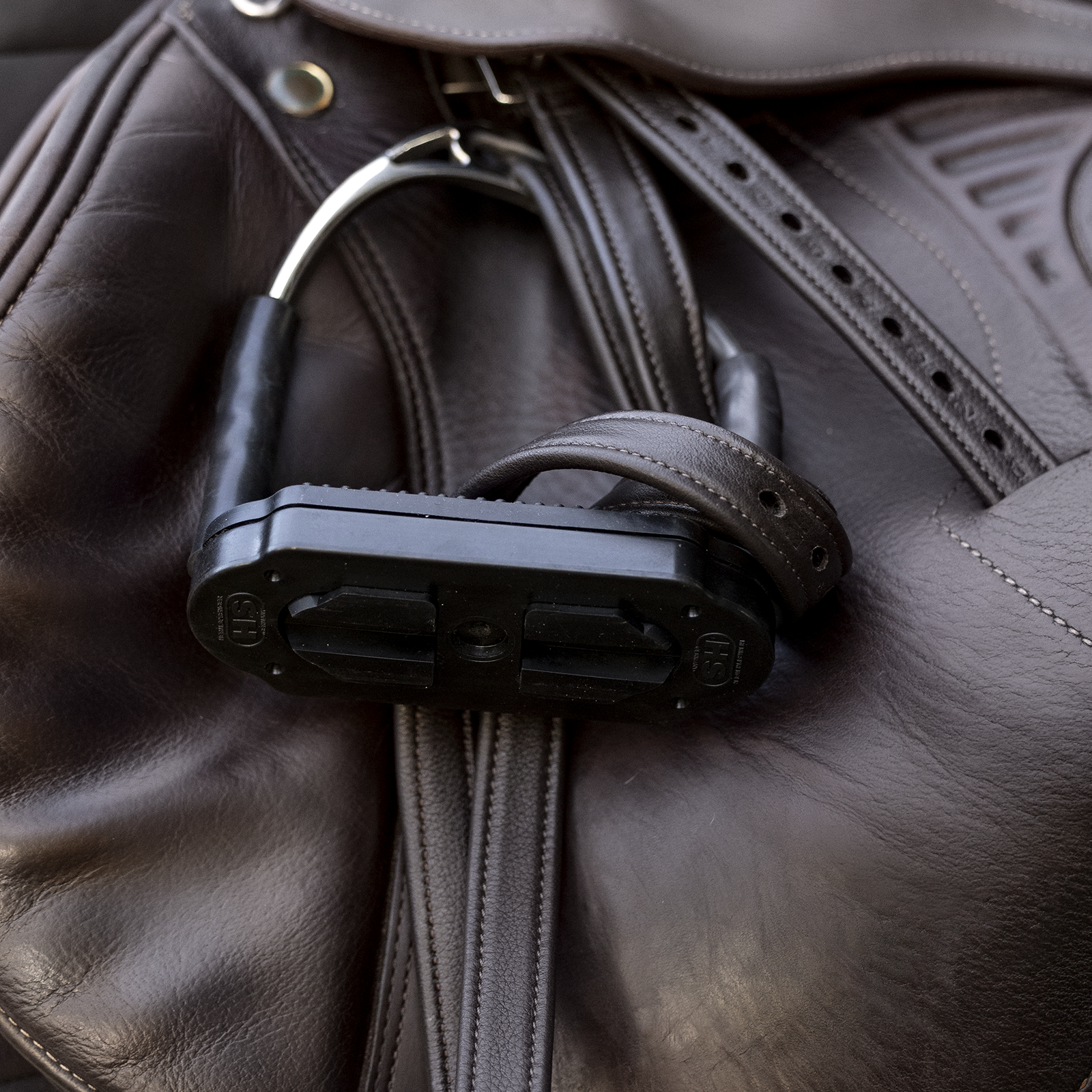 EQUEST Steigbügelriemen