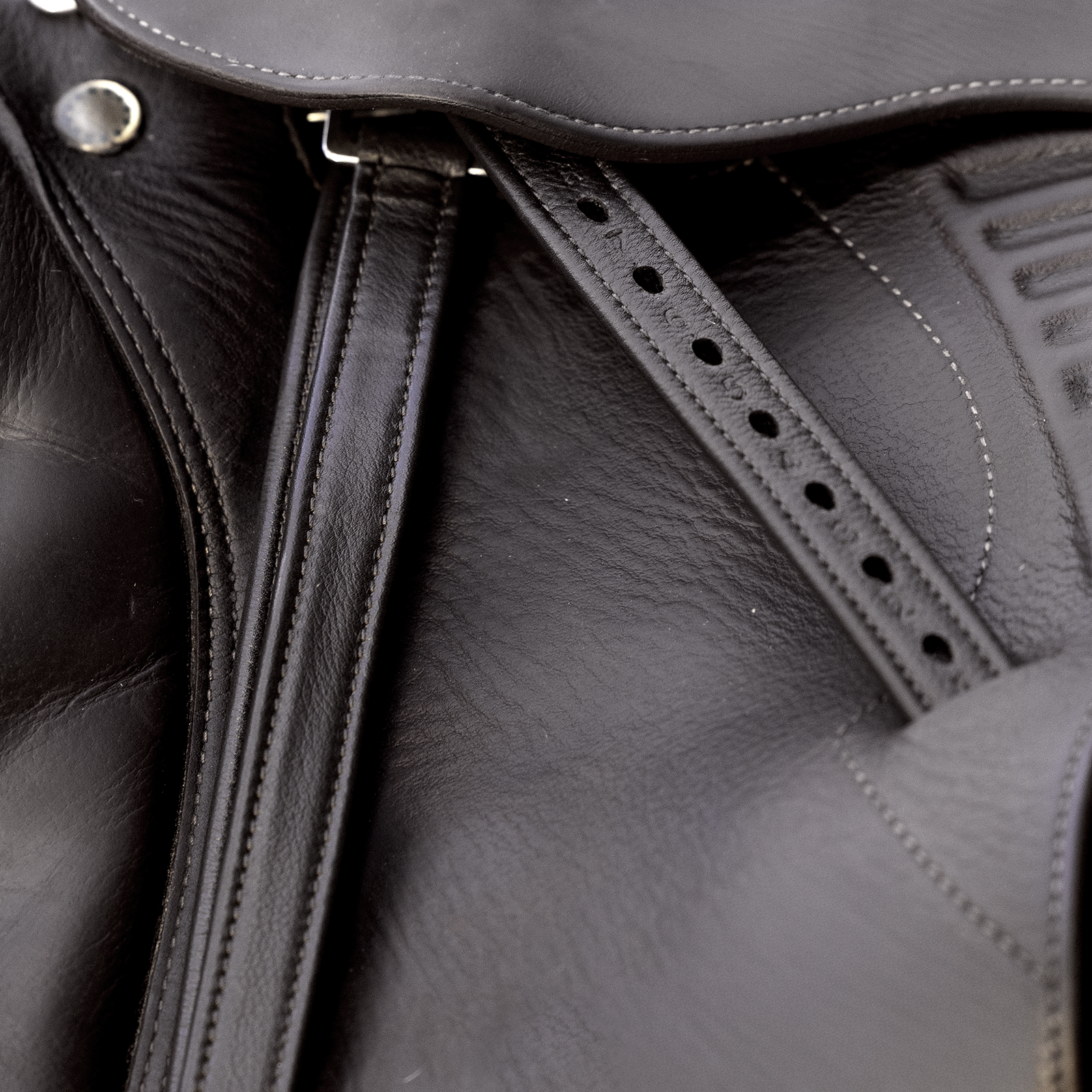 EQUEST Steigbügelriemen