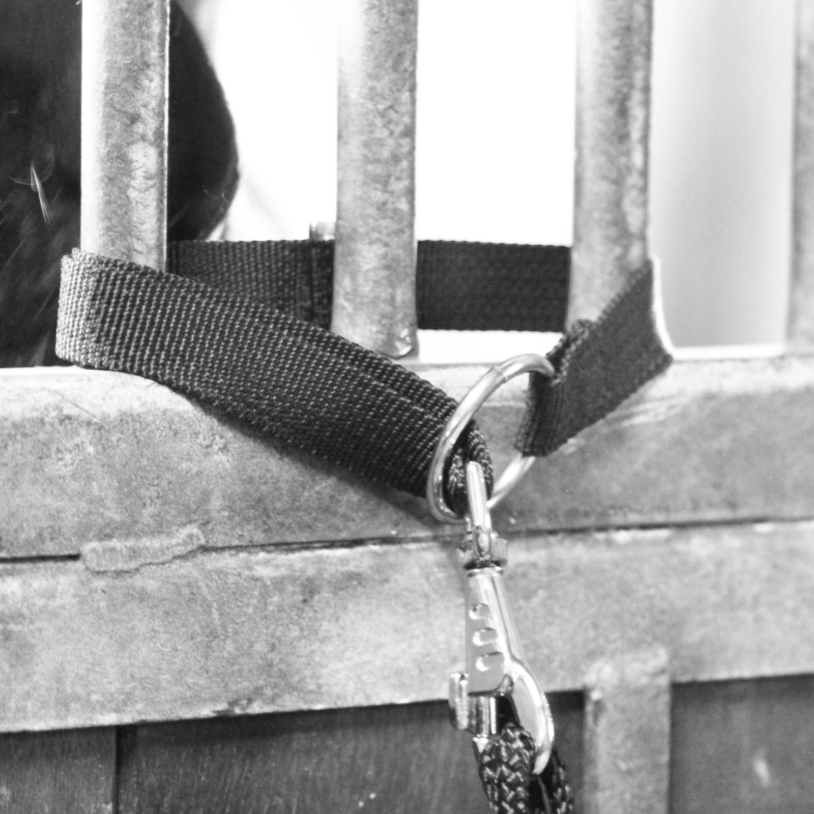 EQUEST Universalhalterung